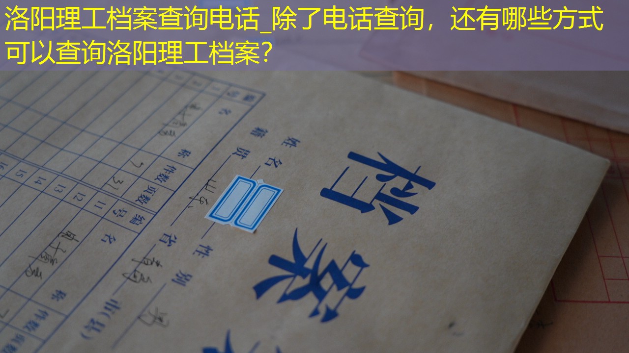 档案查询