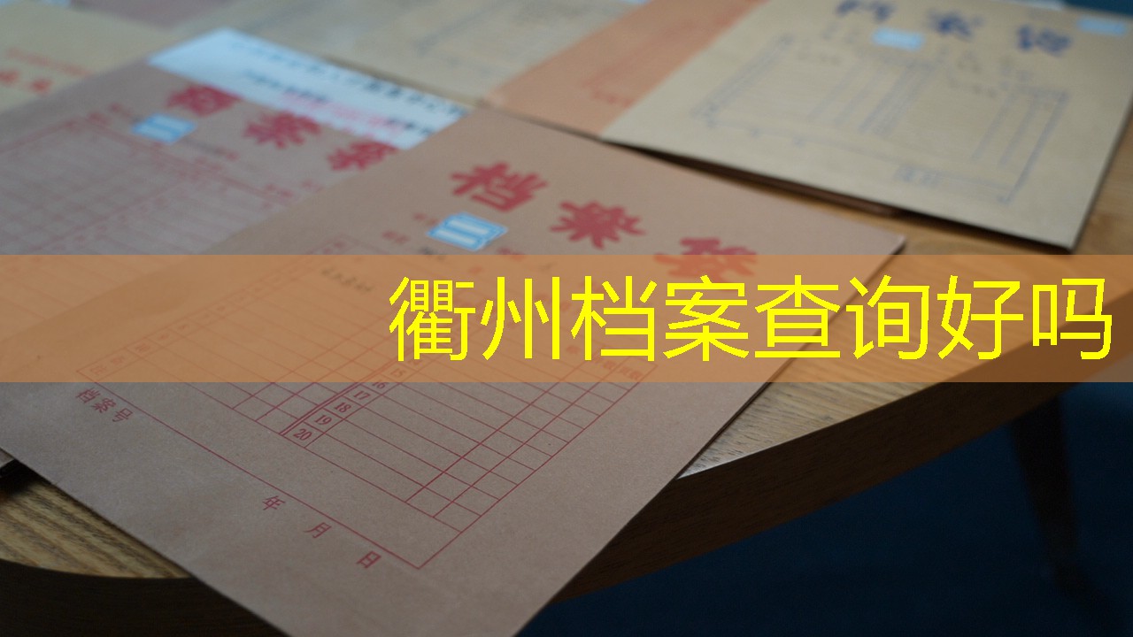 档案查询