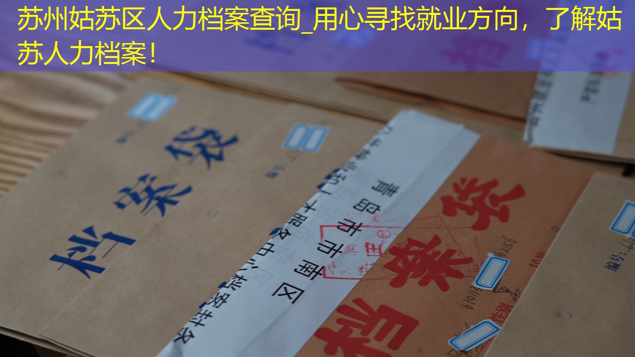 档案查询