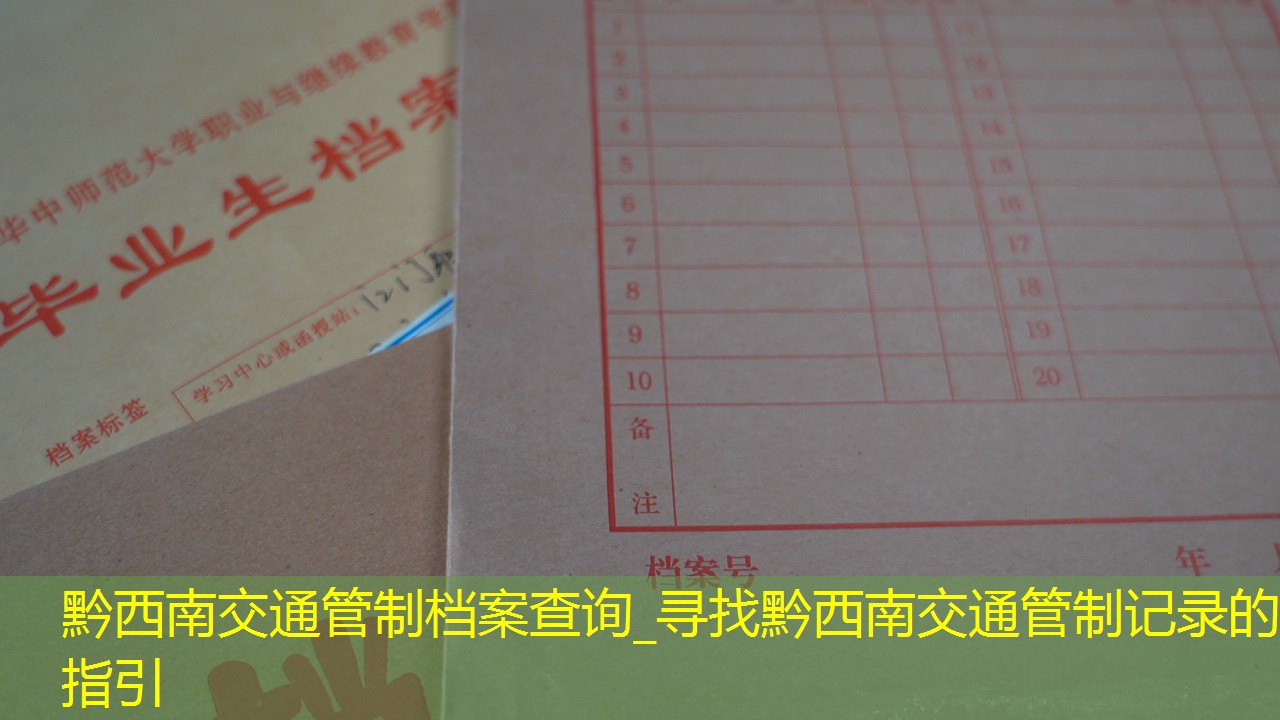 档案查询