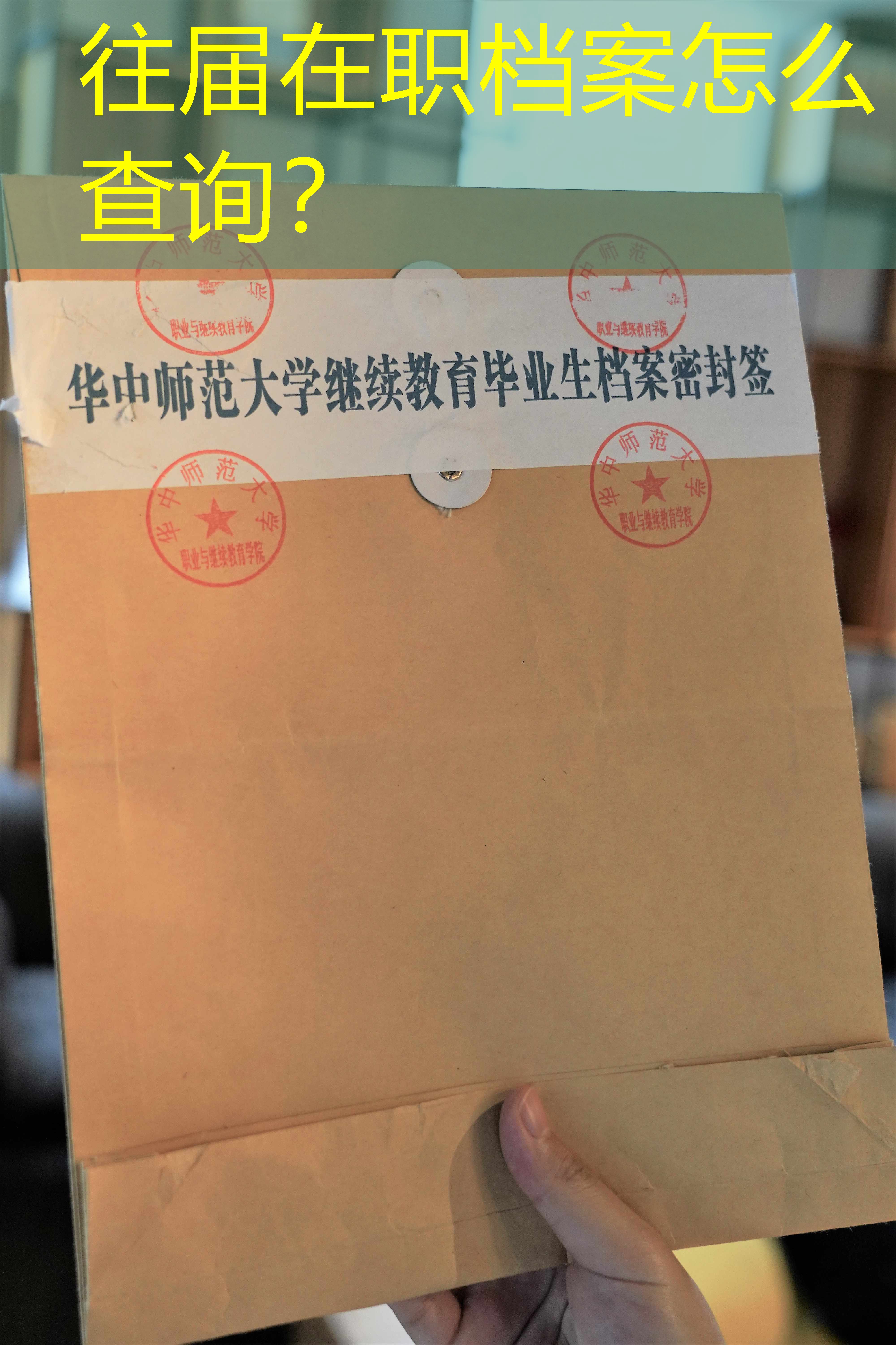 档案查询