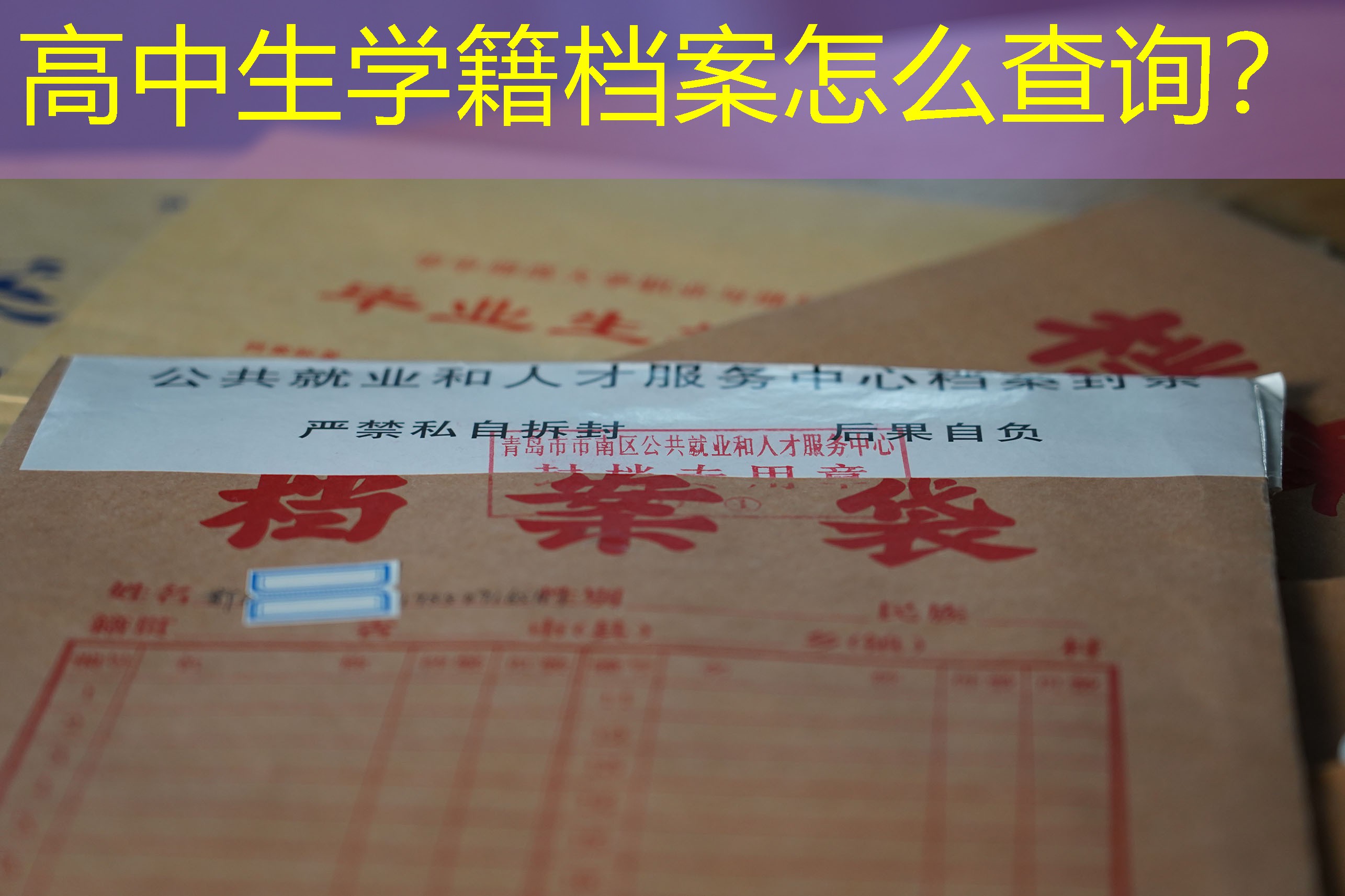 档案查询