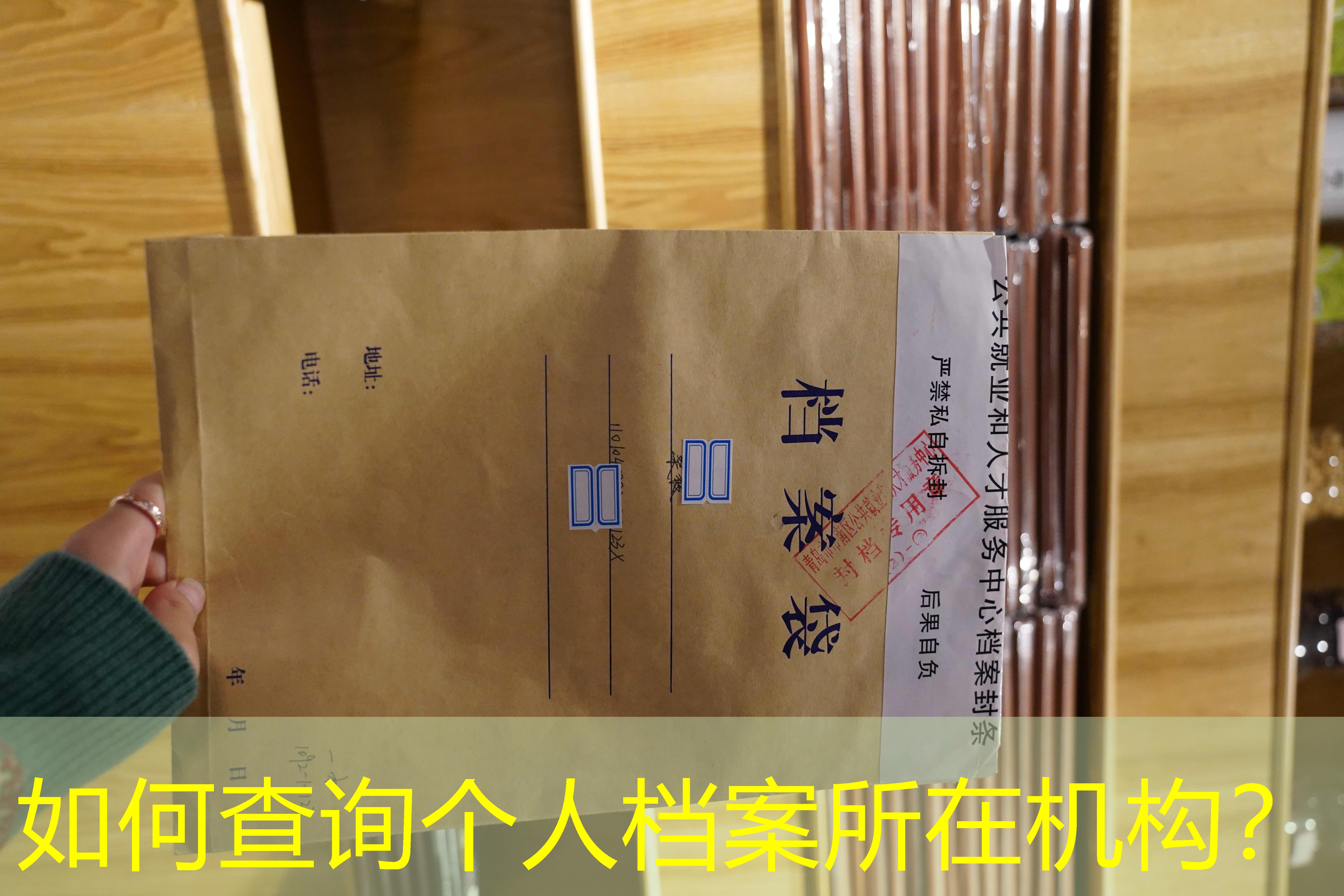档案查询