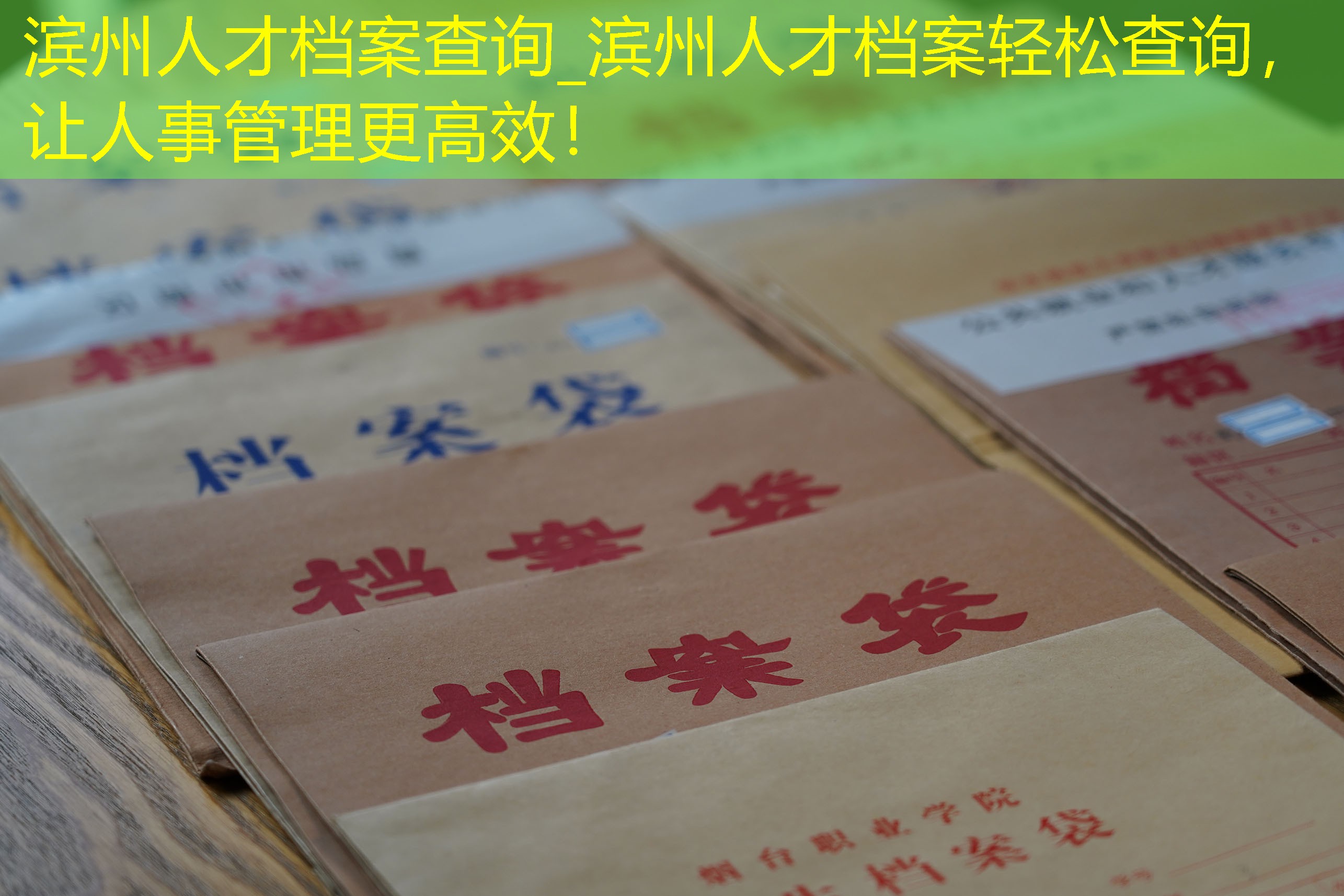 档案查询