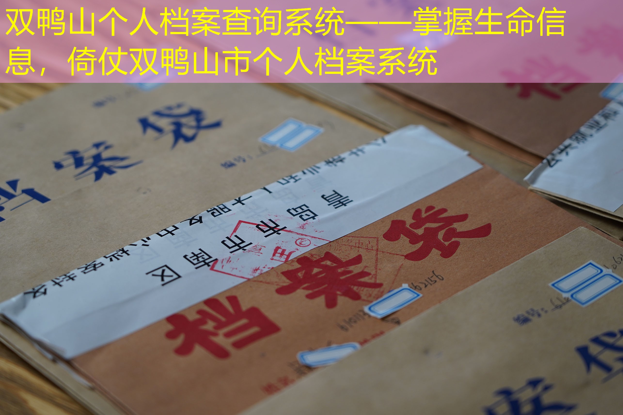 档案查询