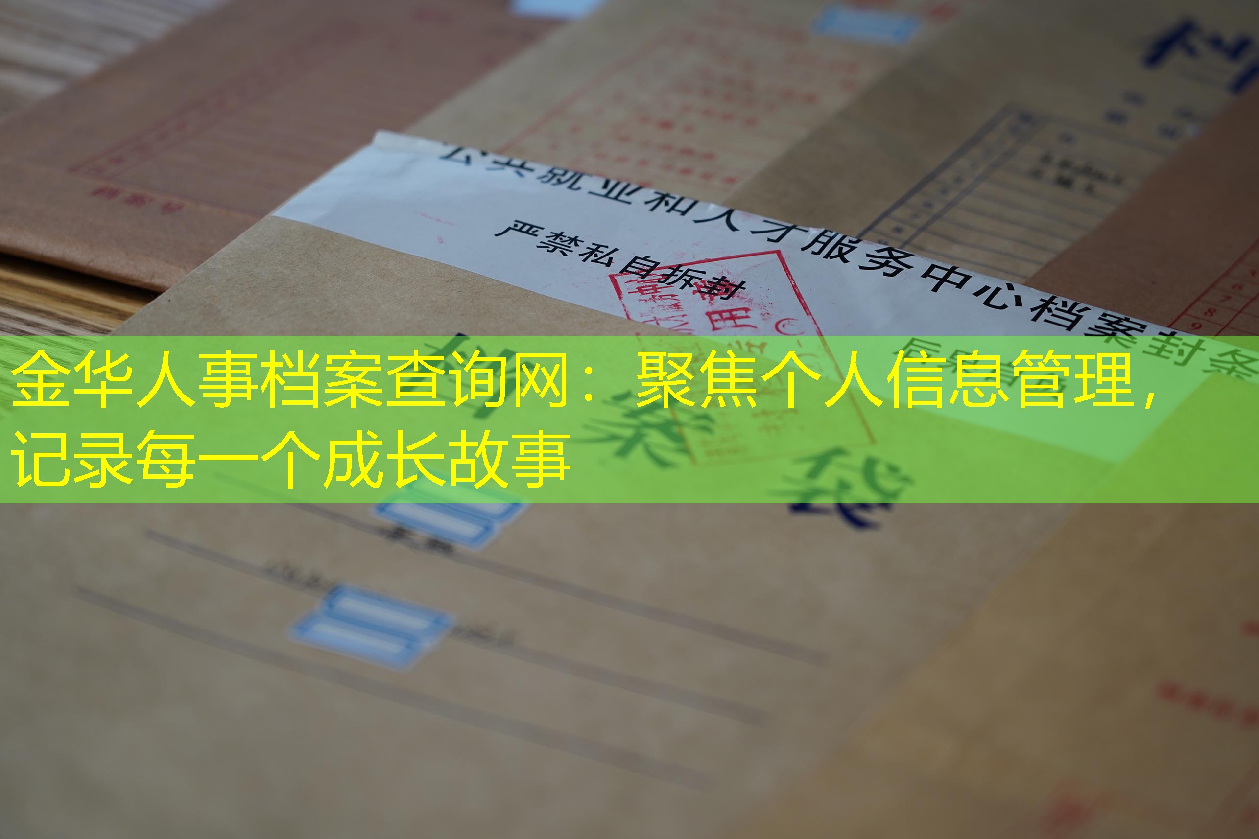 档案查询