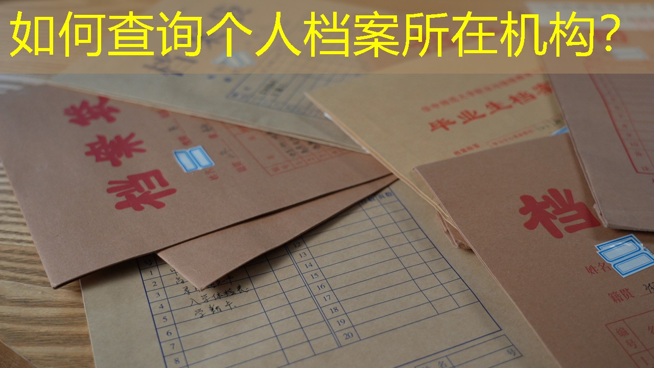 档案查询