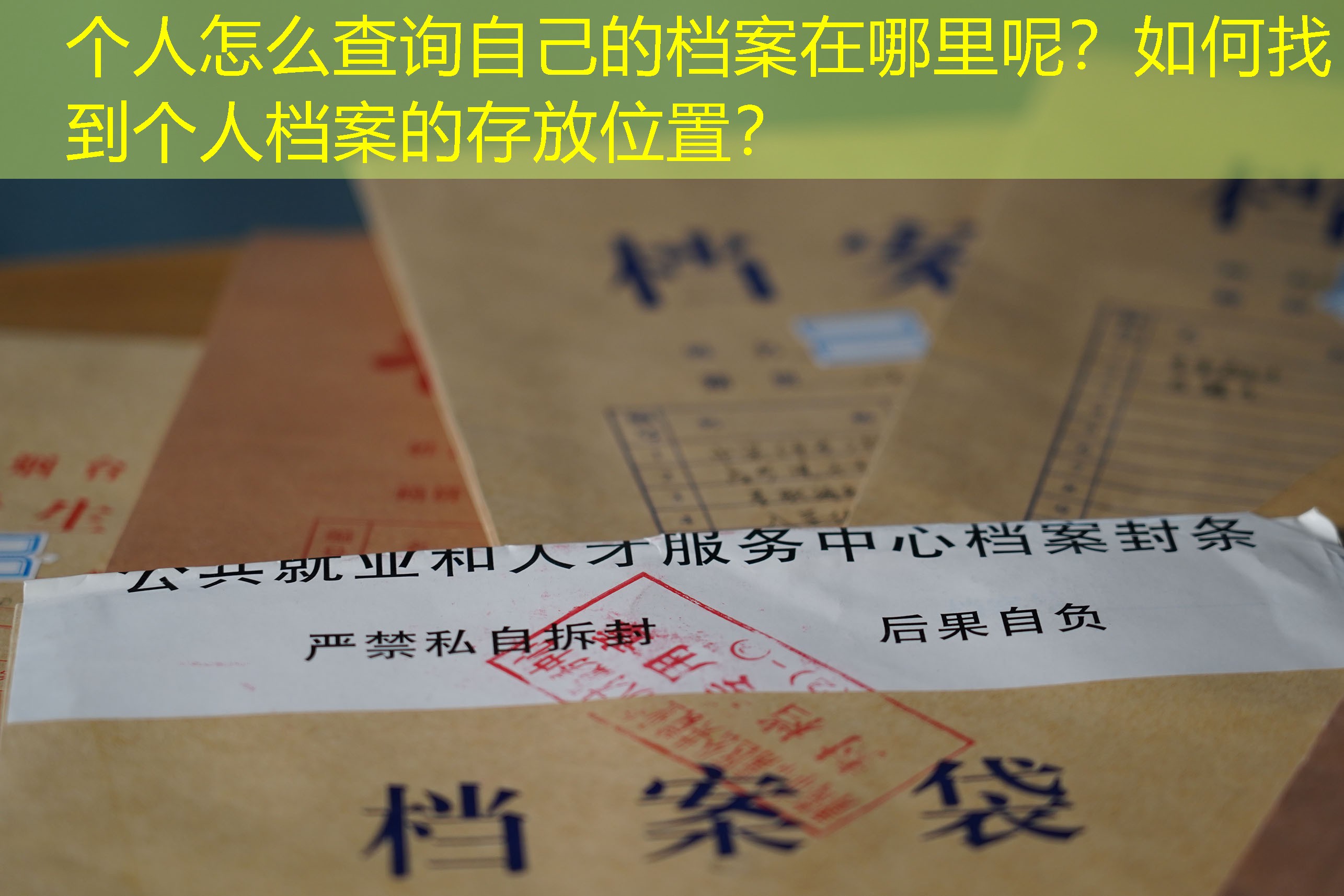 档案查询