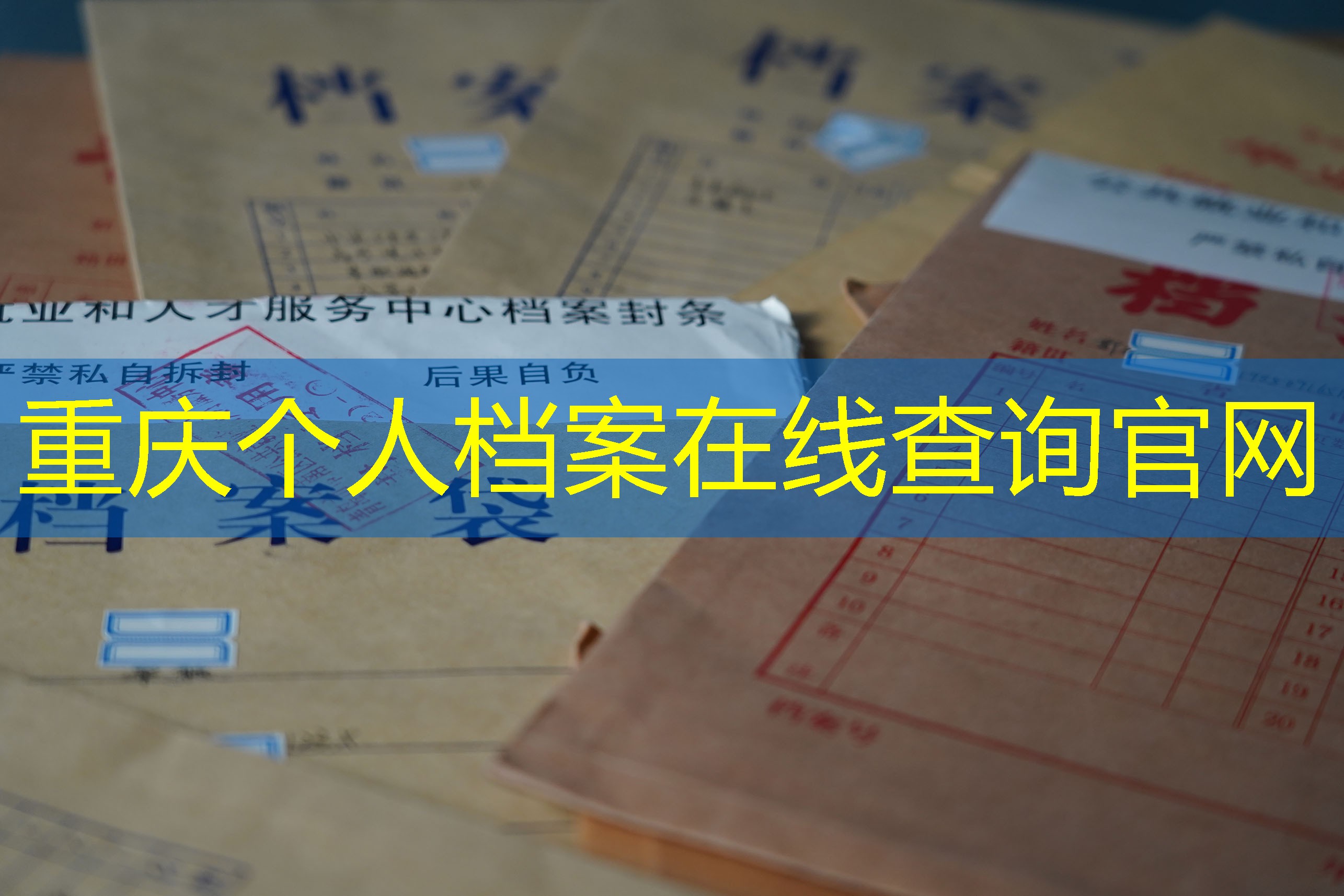档案查询