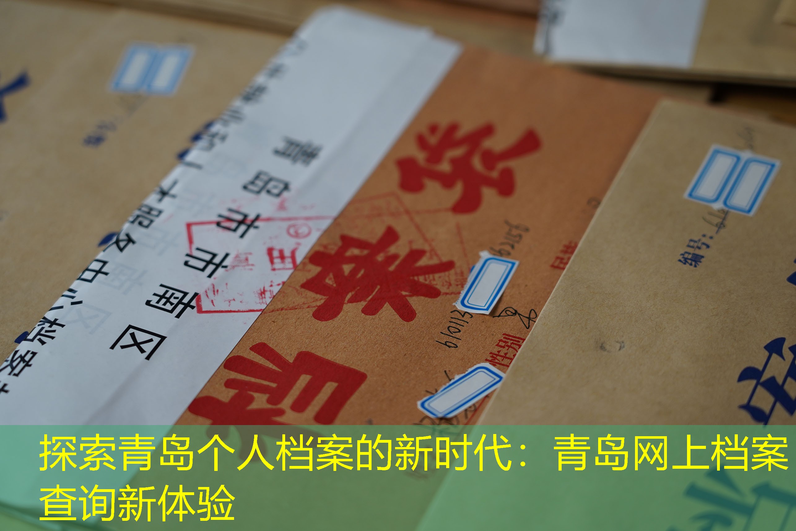档案查询