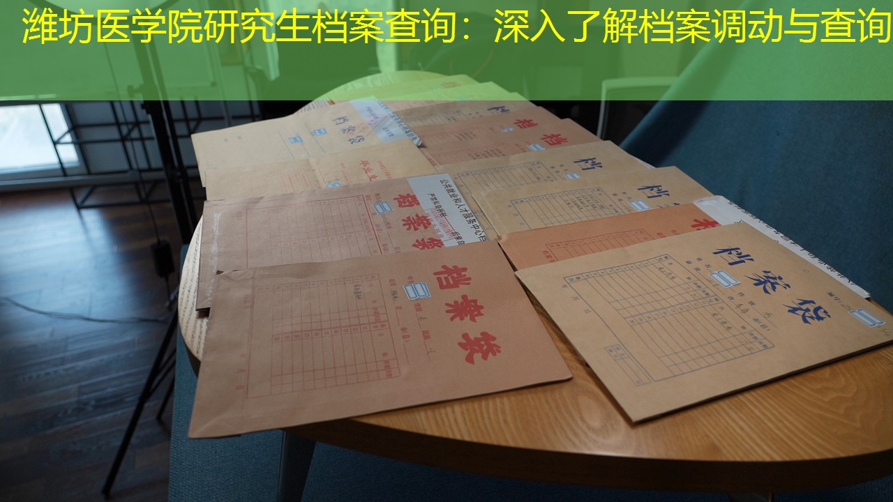 档案查询