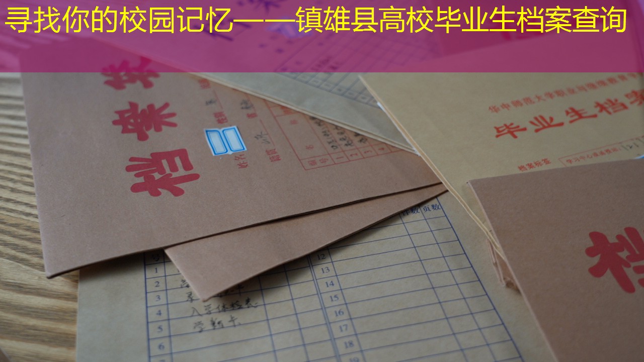 档案查询