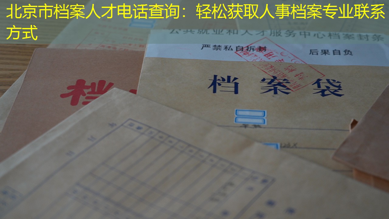 档案查询