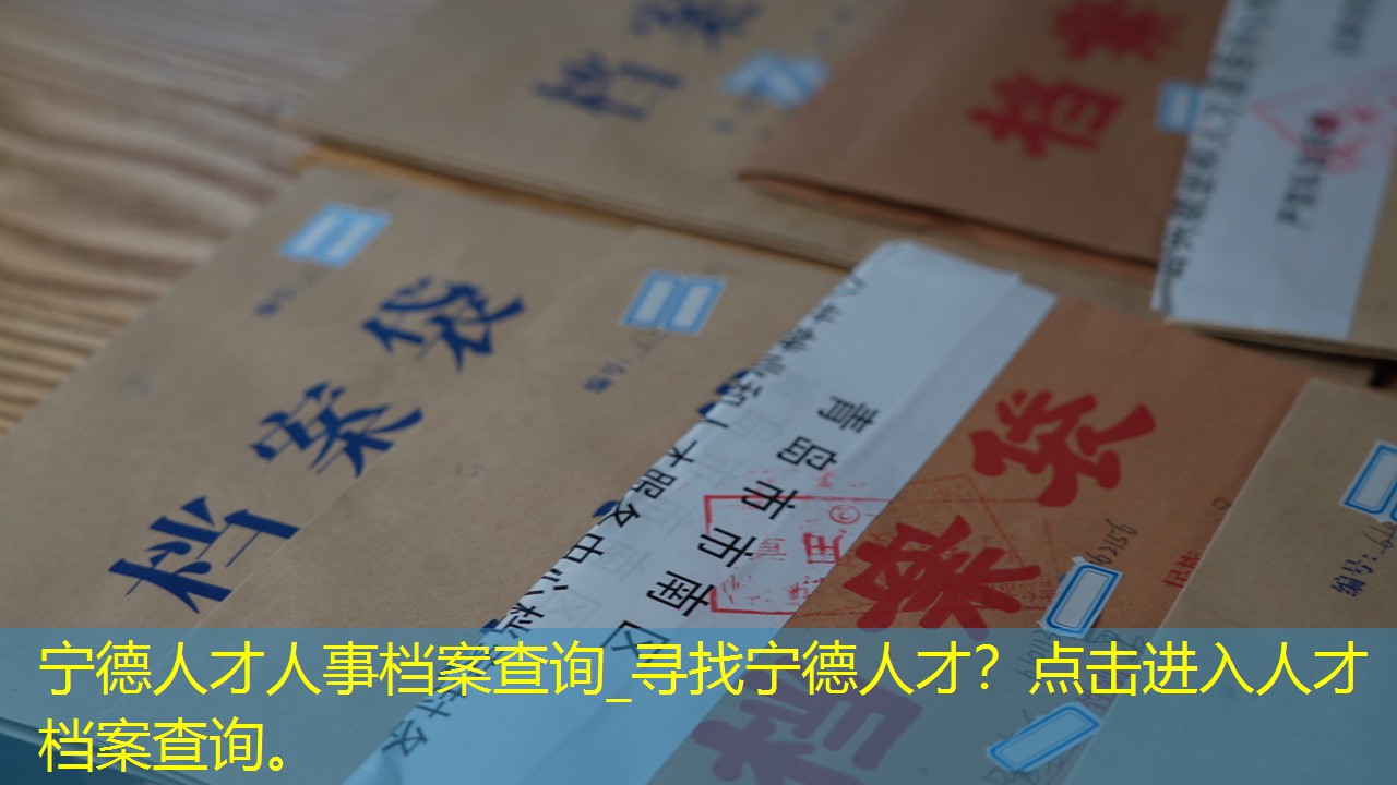 档案查询