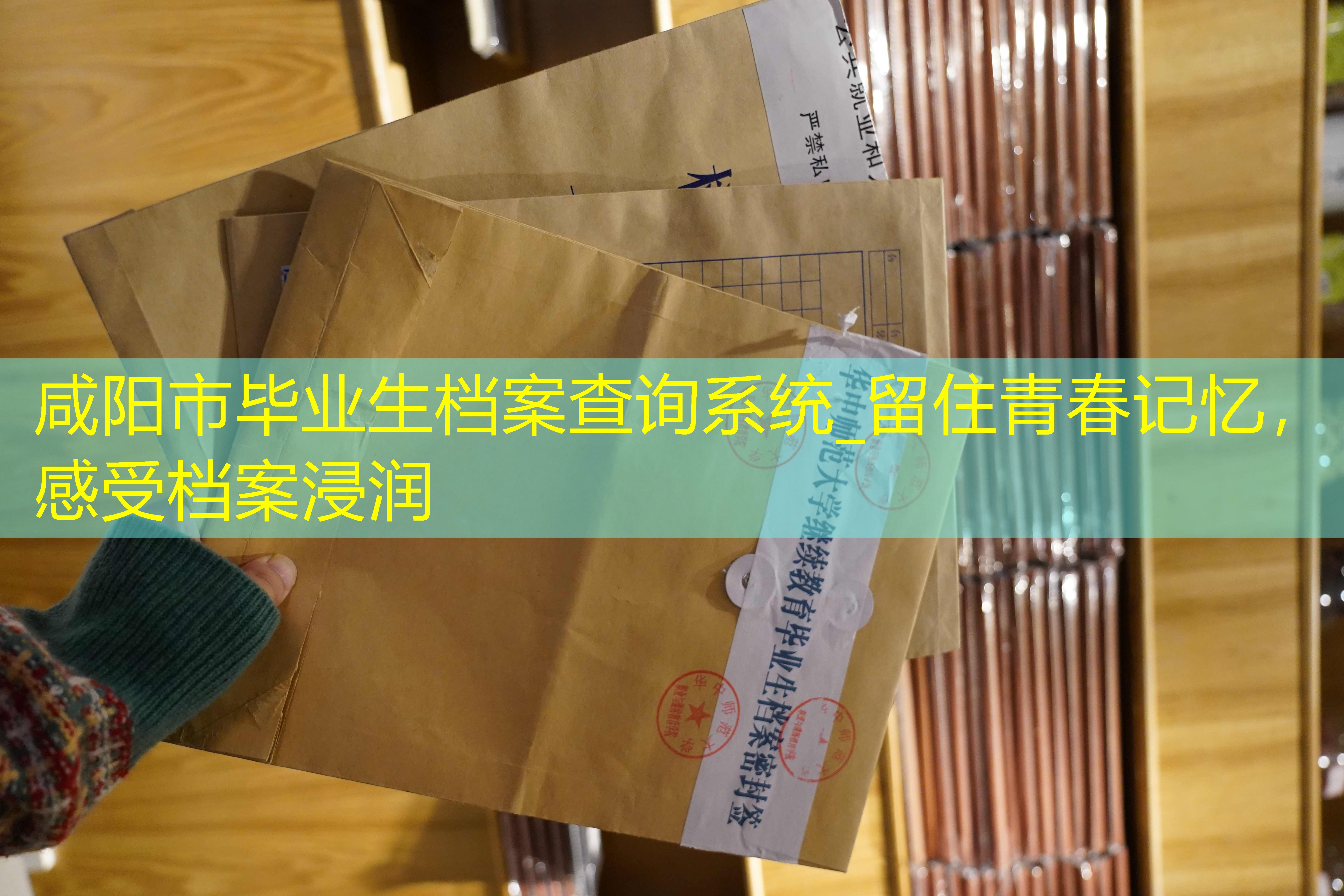 档案查询