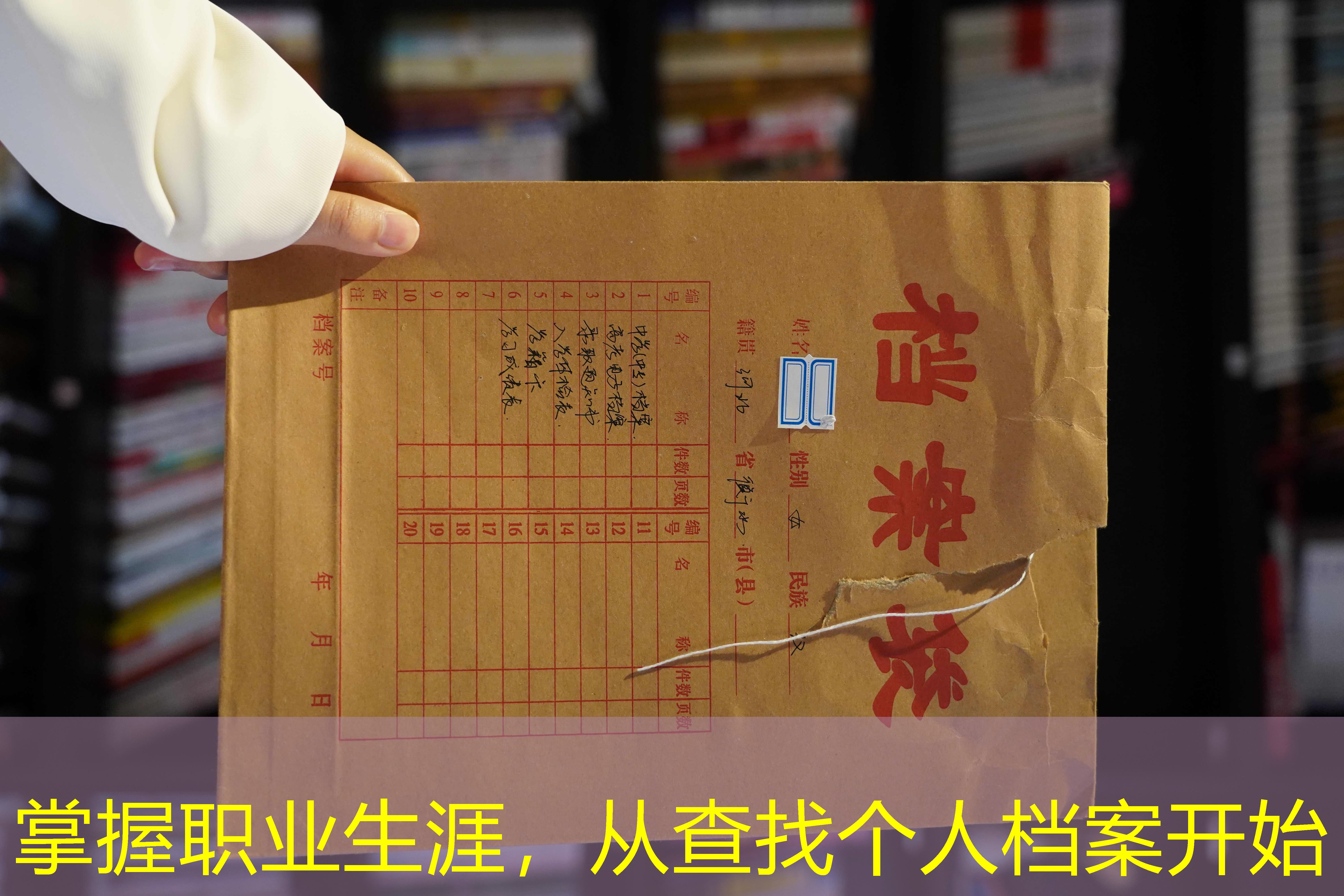 档案查询