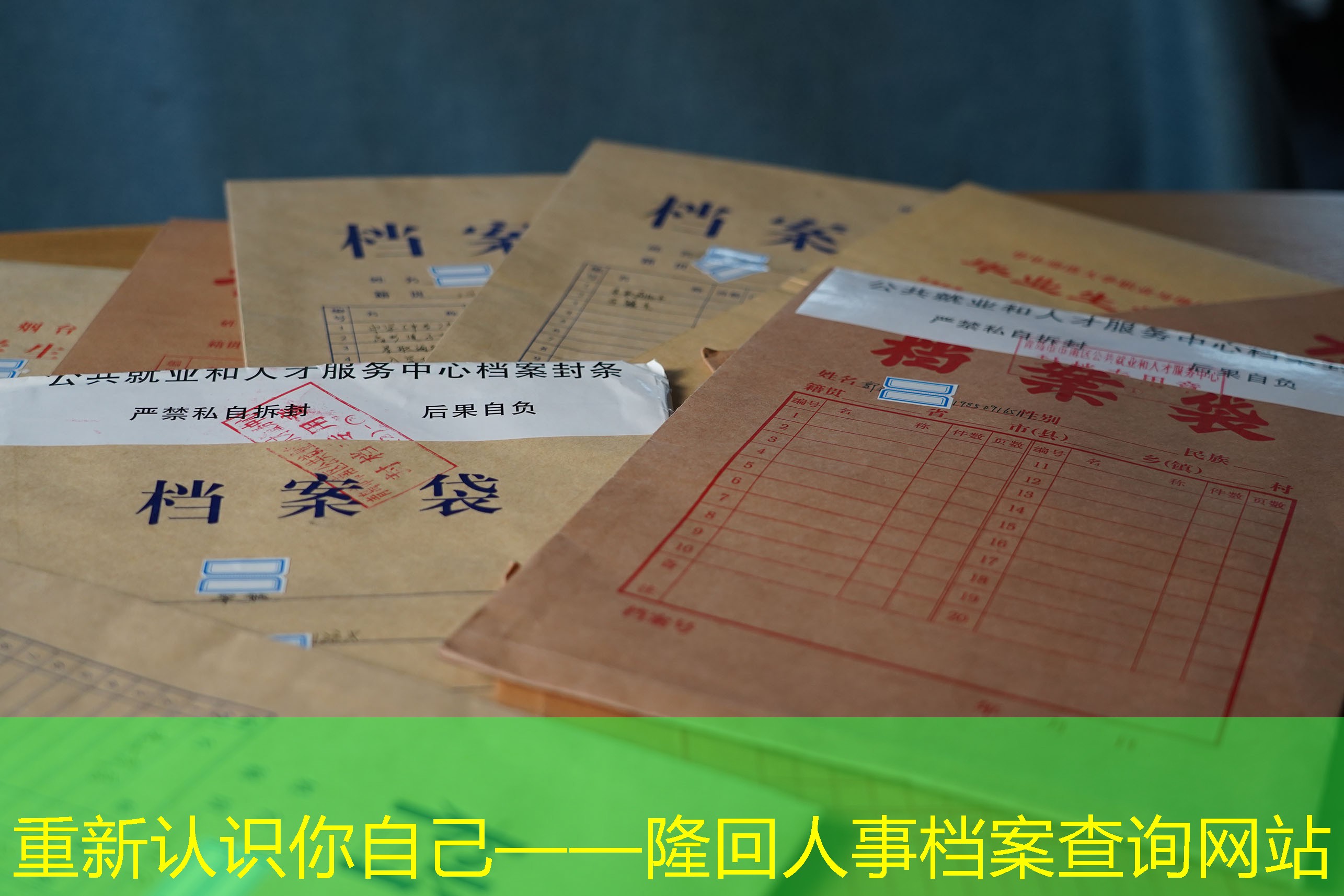 档案查询