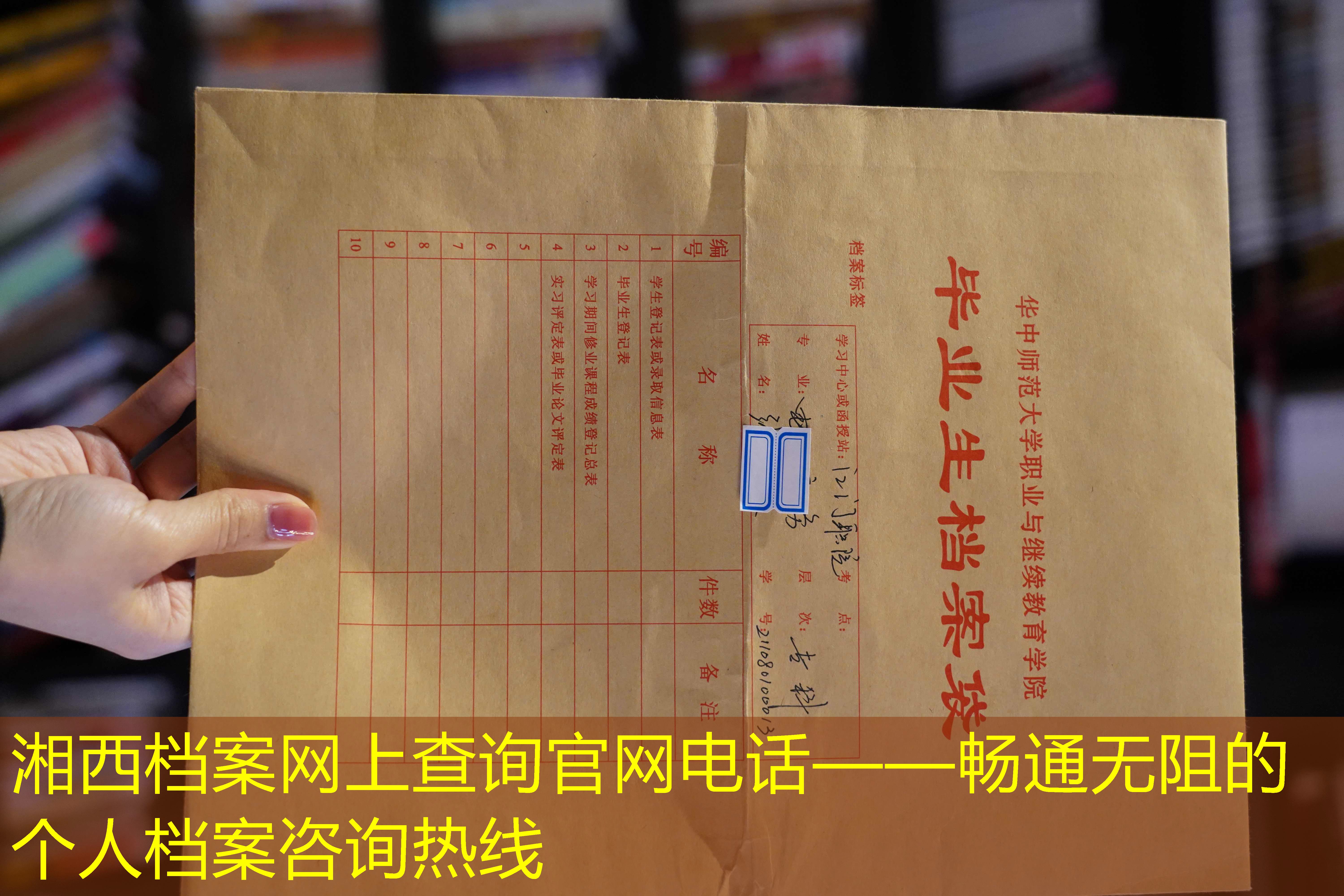 档案查询