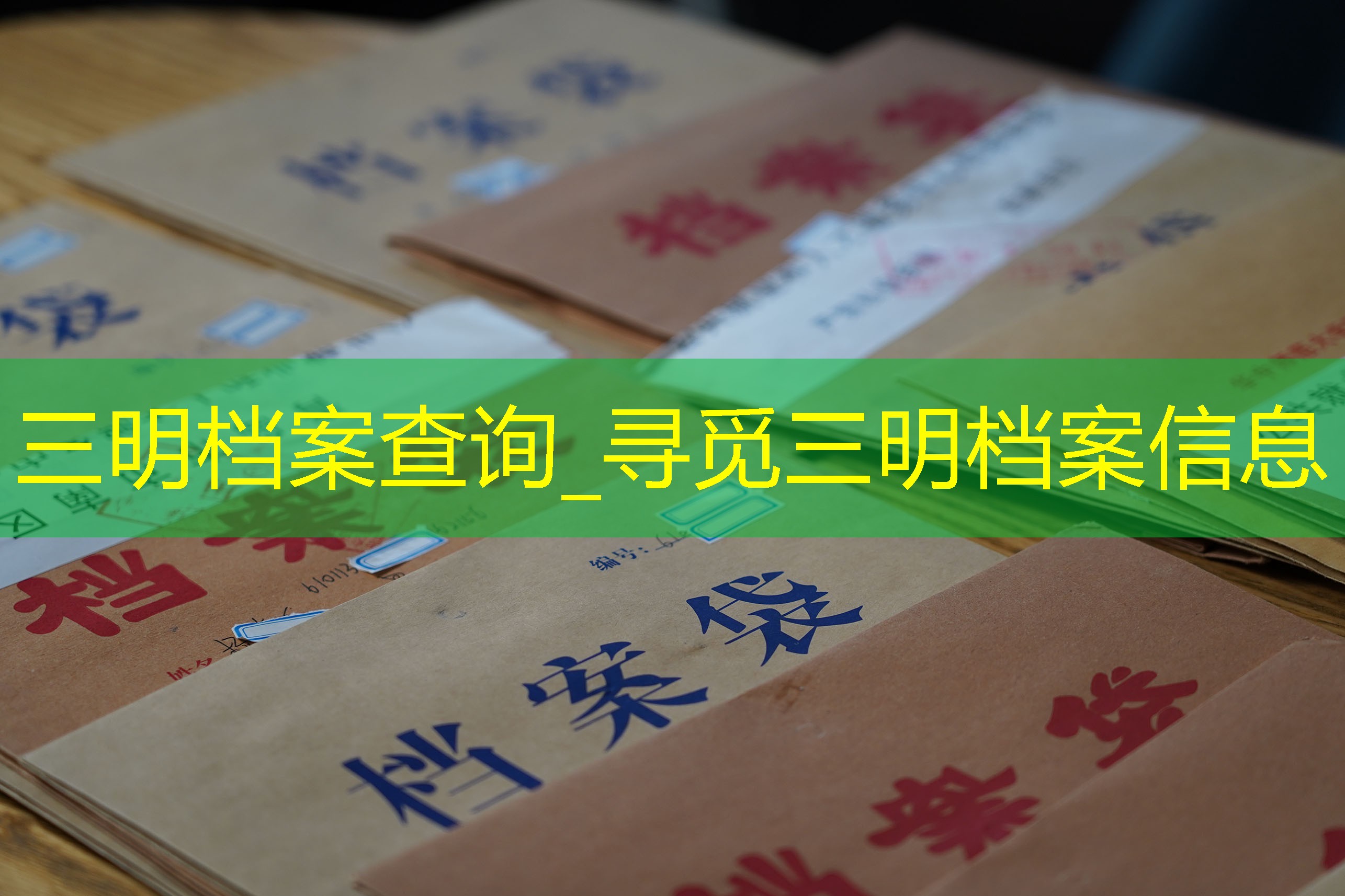 档案查询