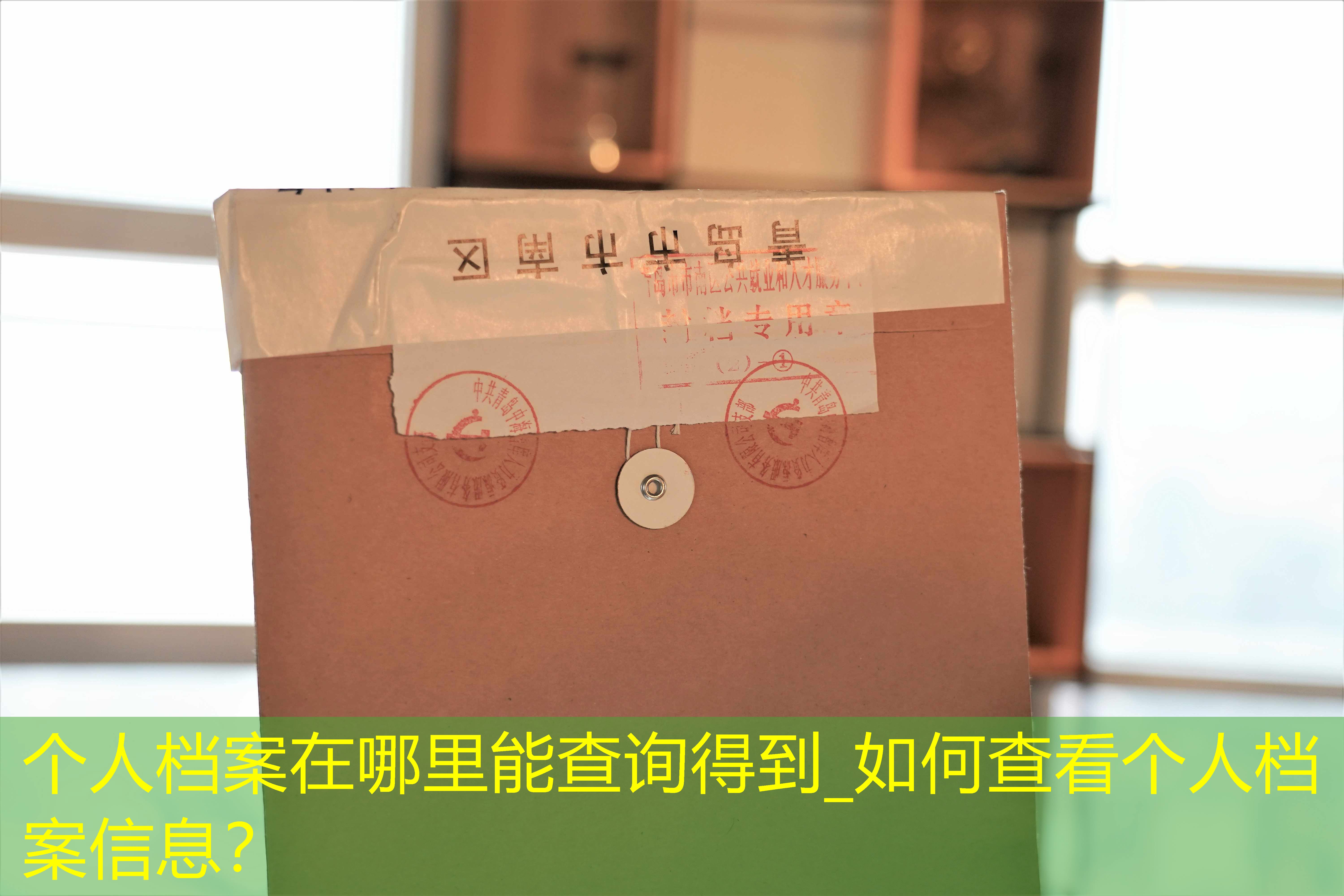 档案查询