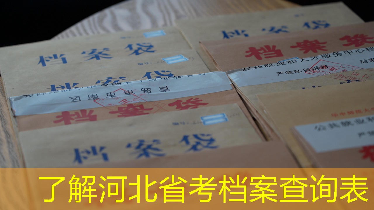 档案查询