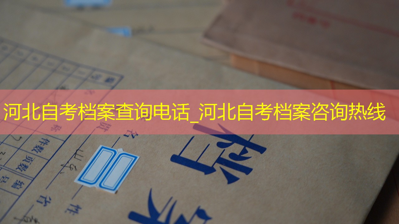档案查询