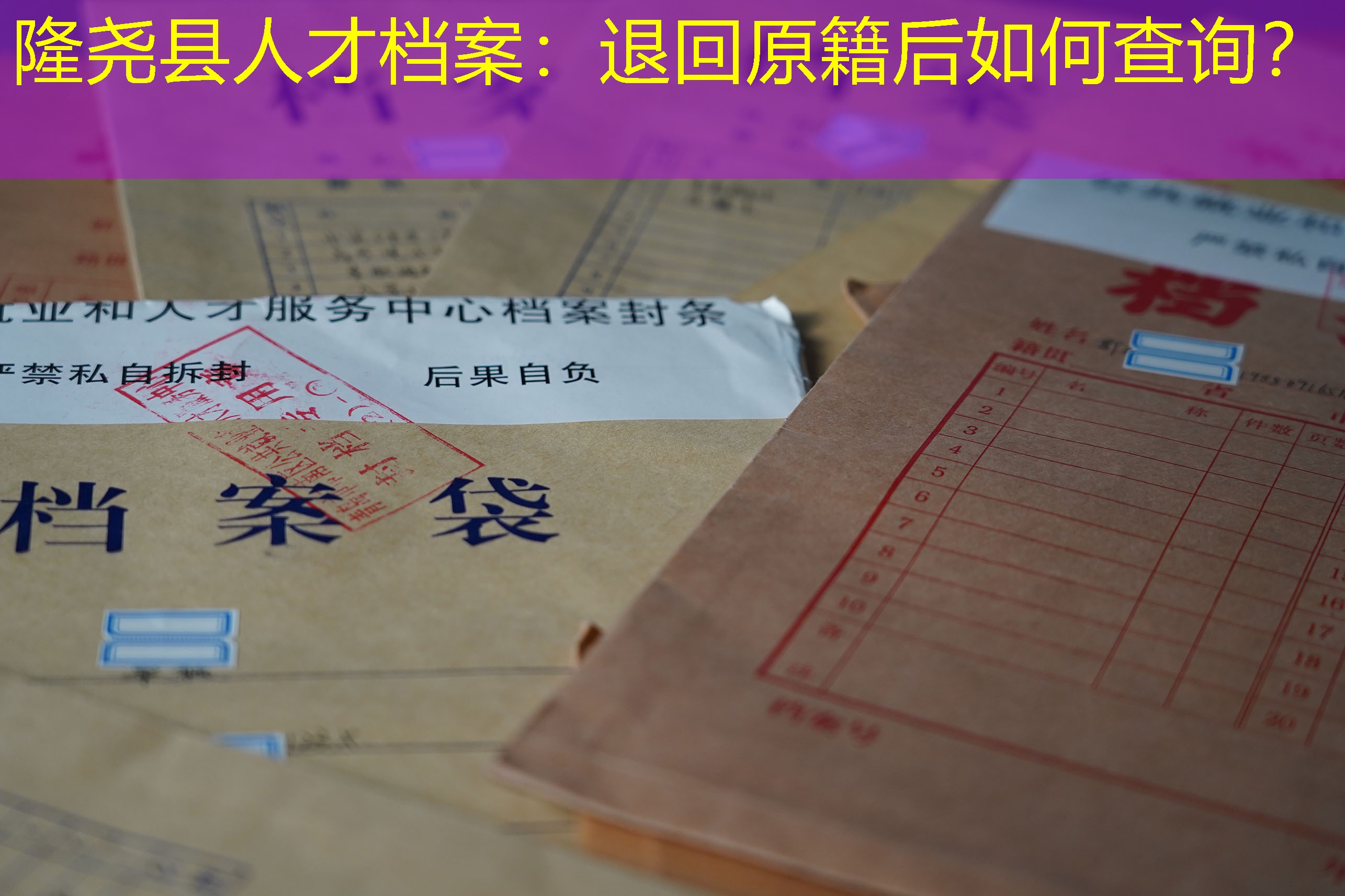 档案查询