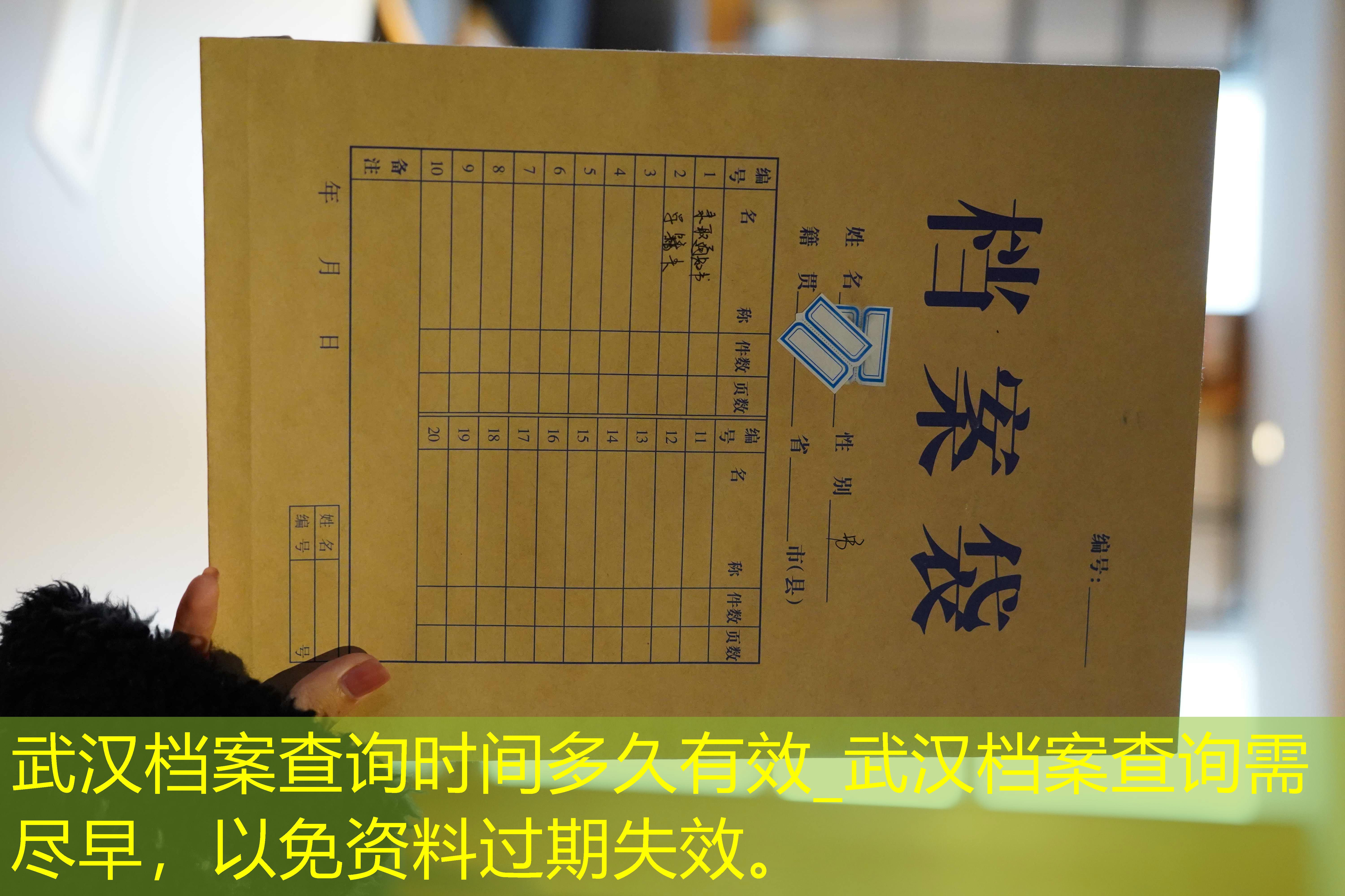 档案查询