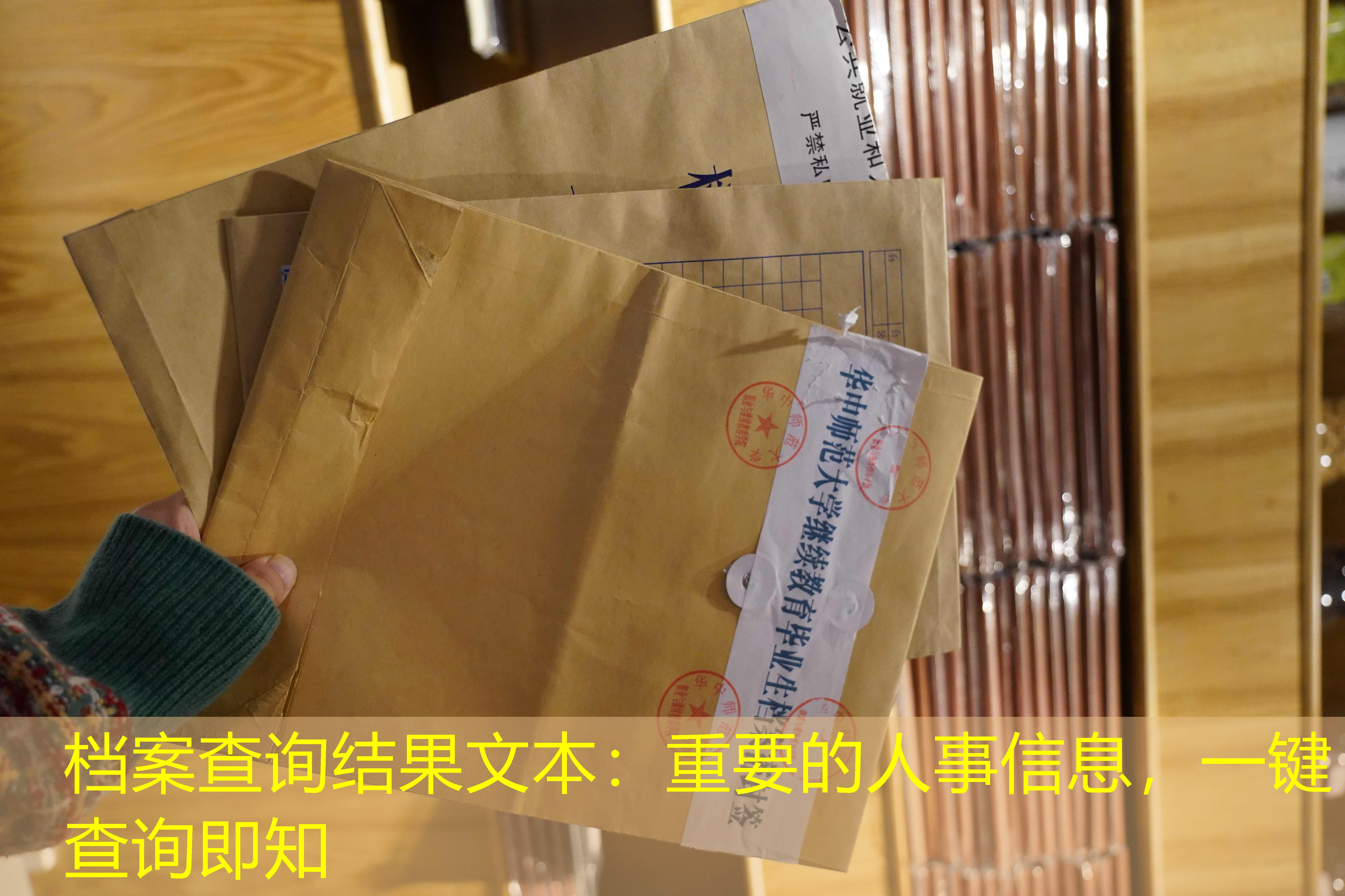 档案查询