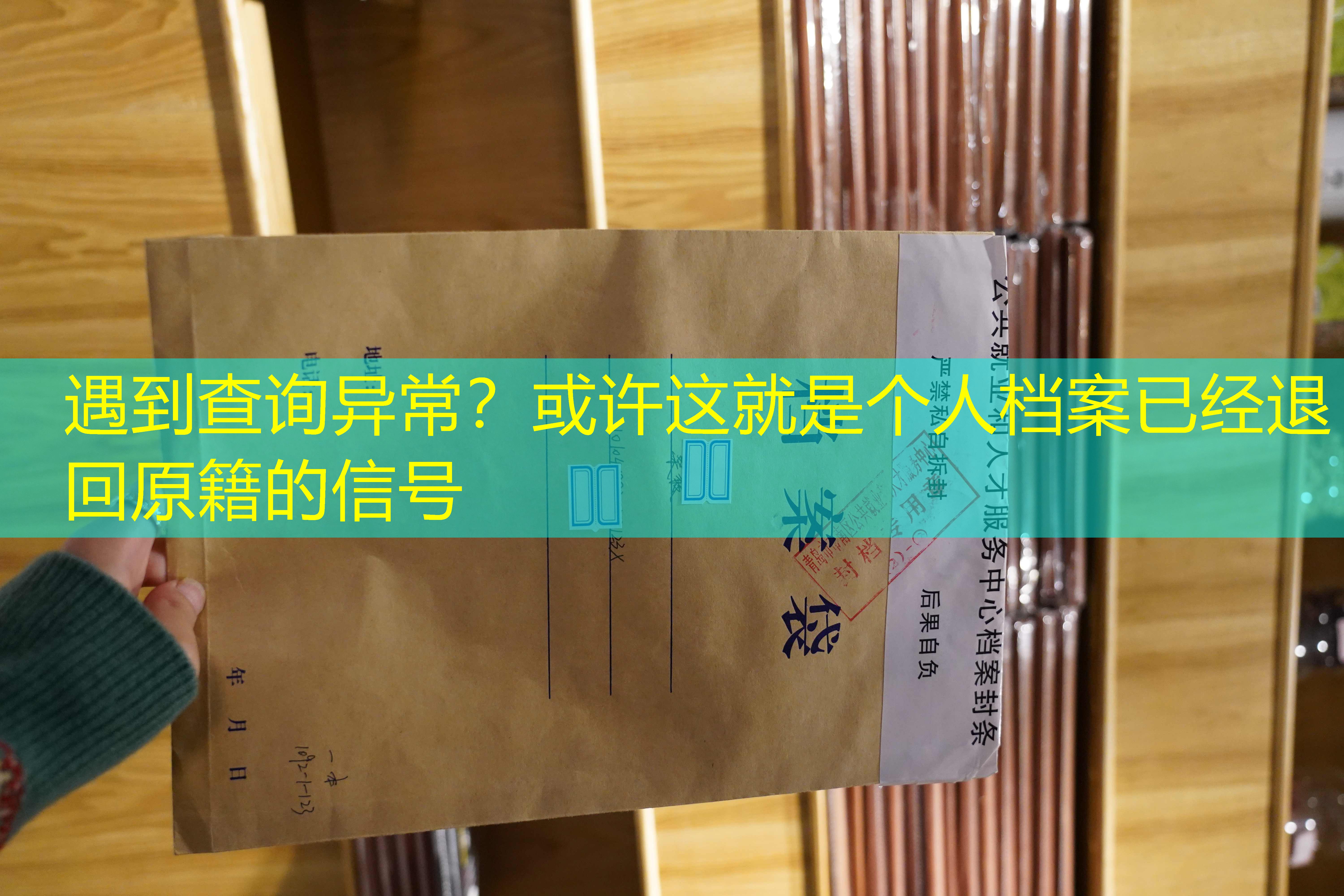档案查询