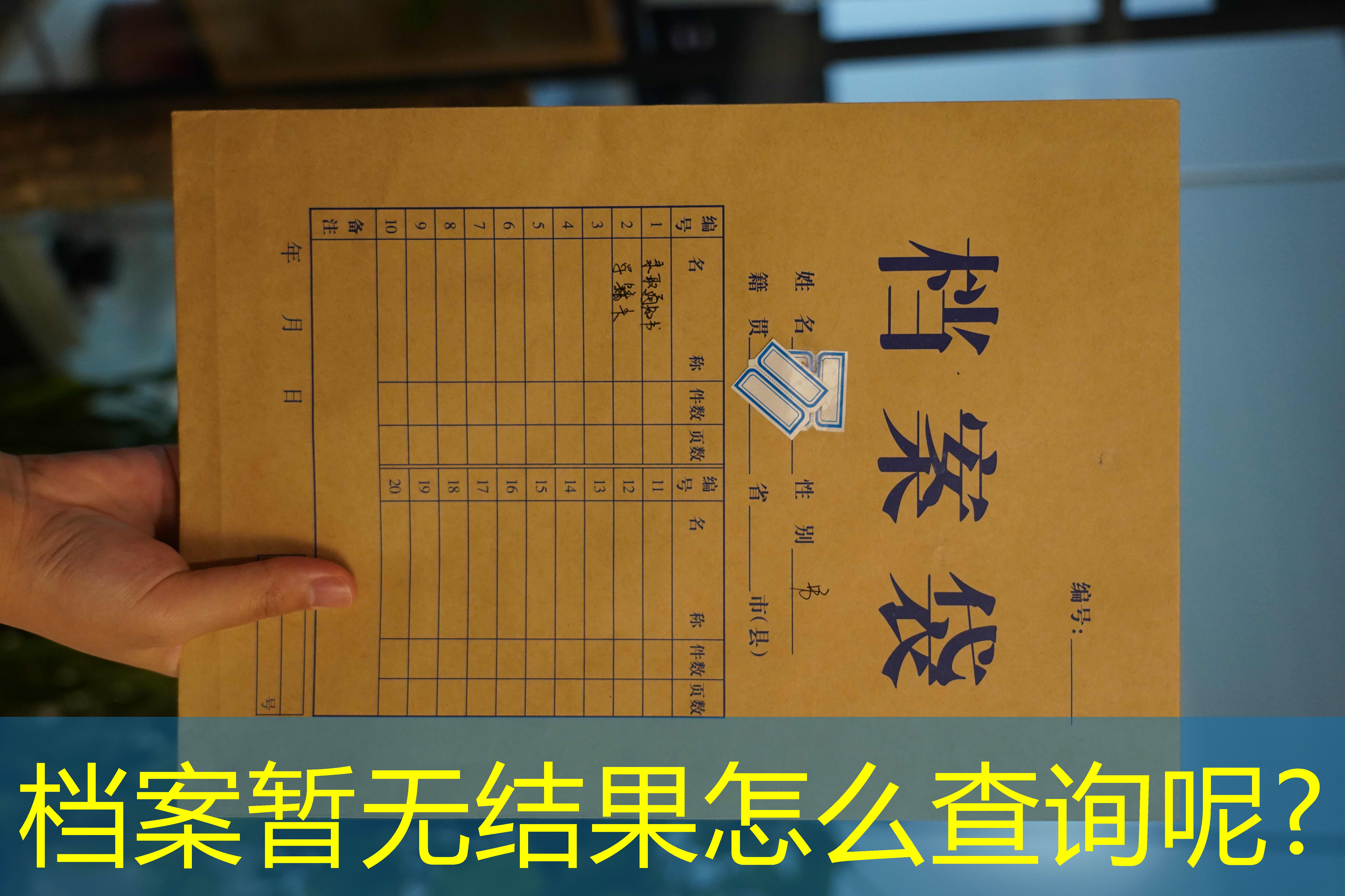 档案查询