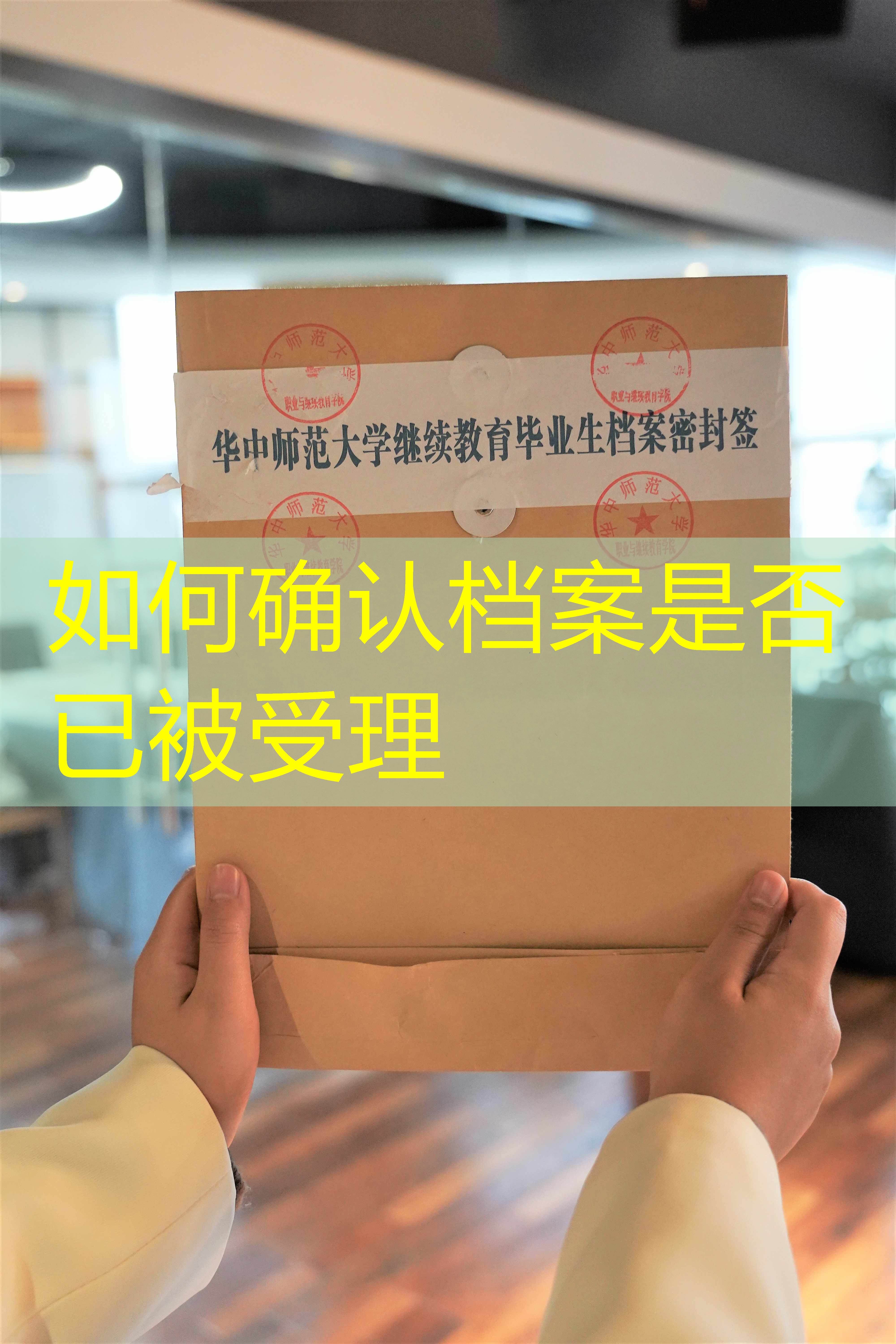 档案查询