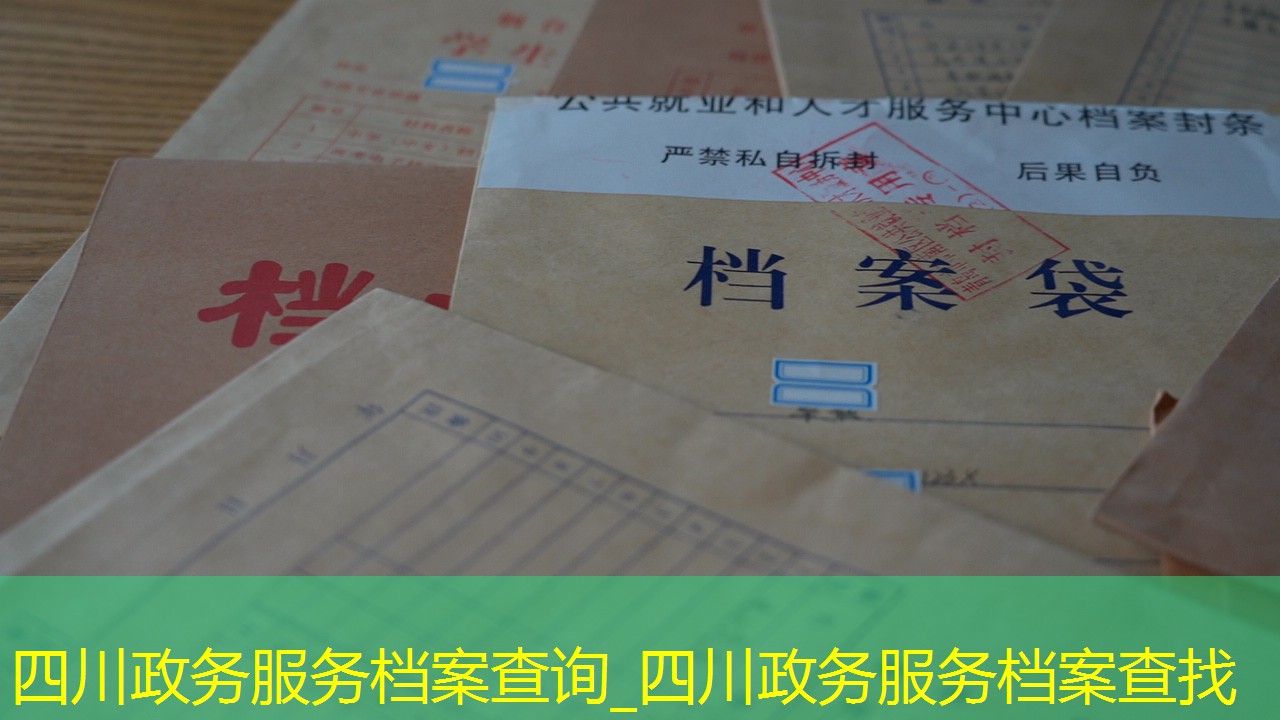 档案查询