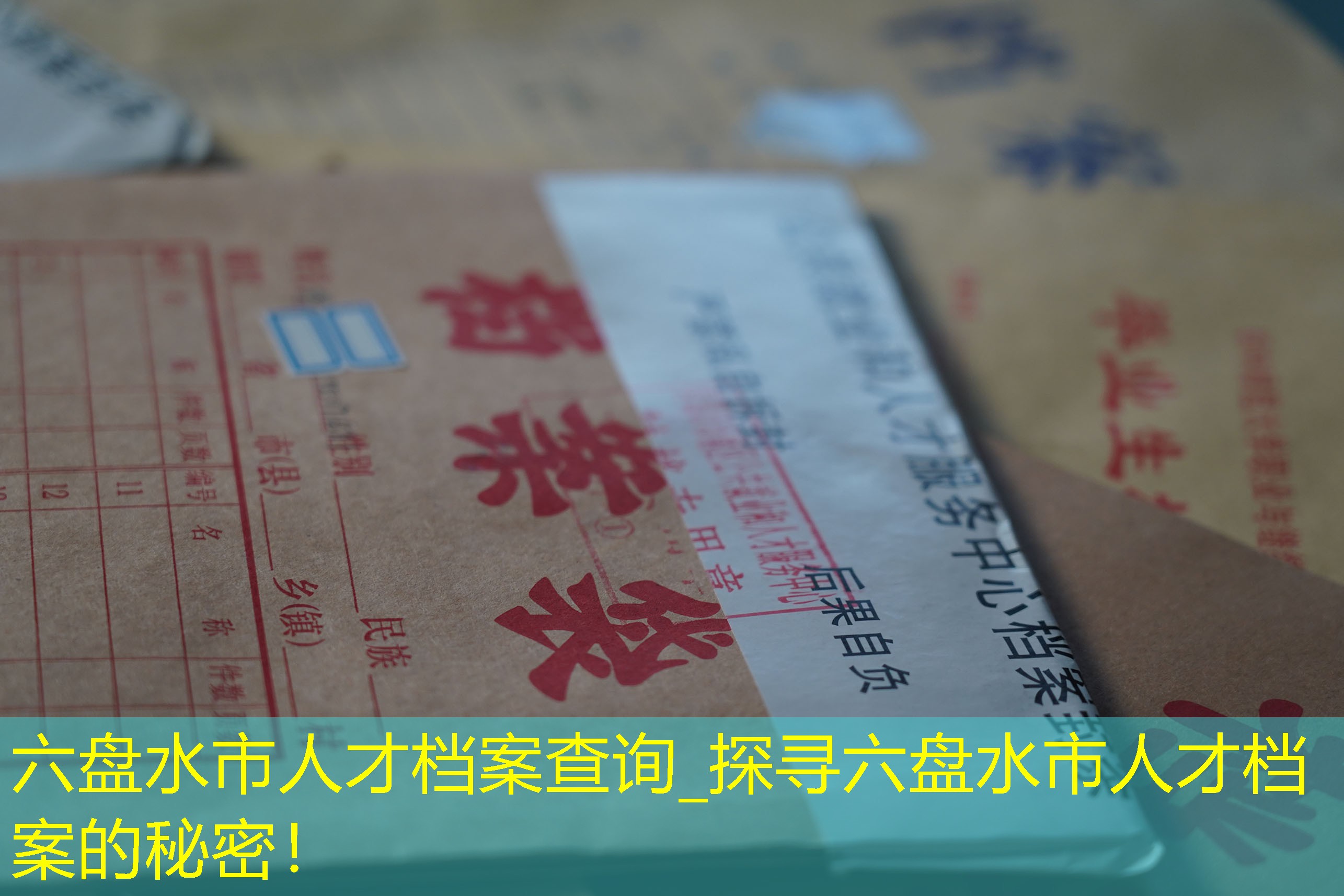 档案查询