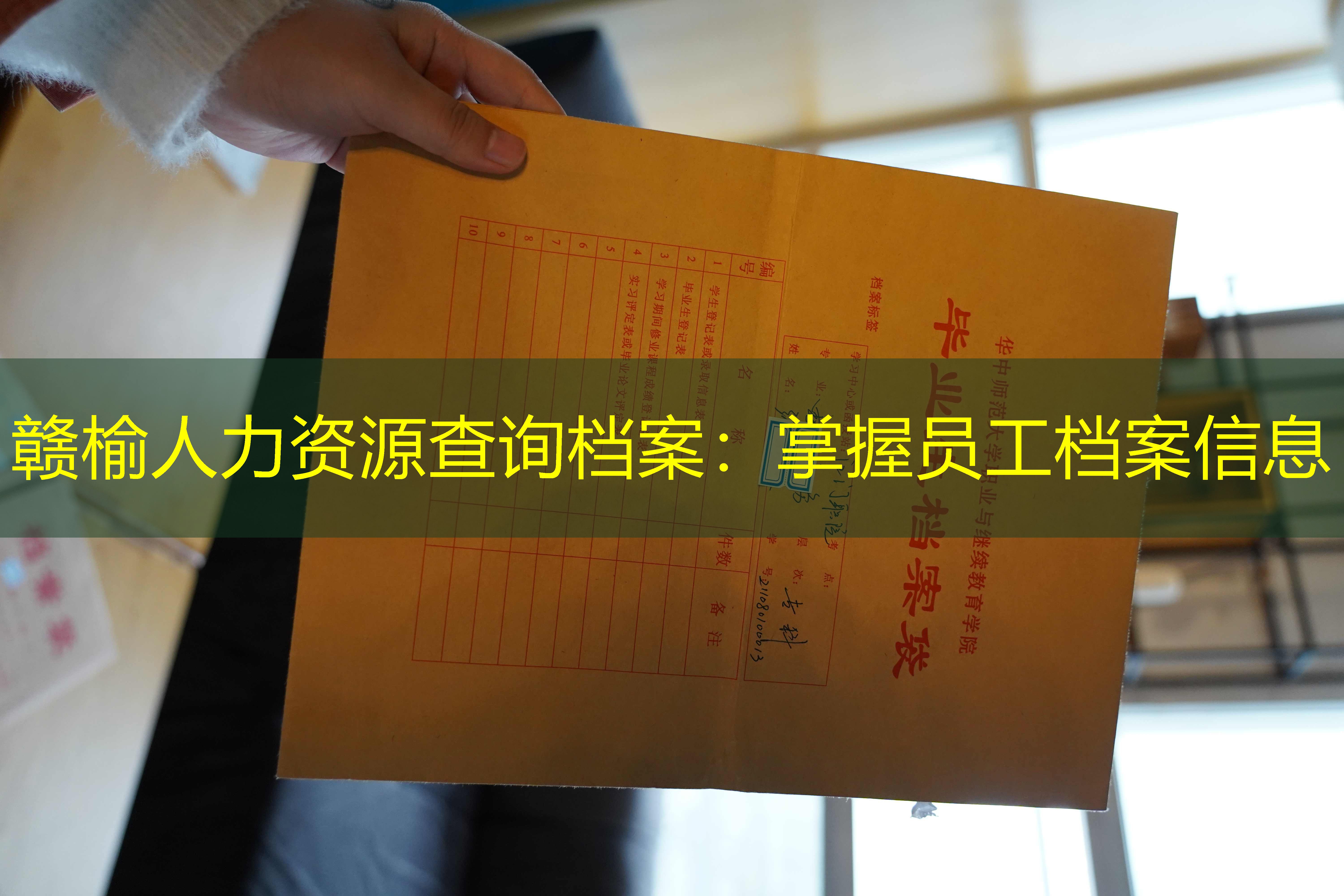 档案查询
