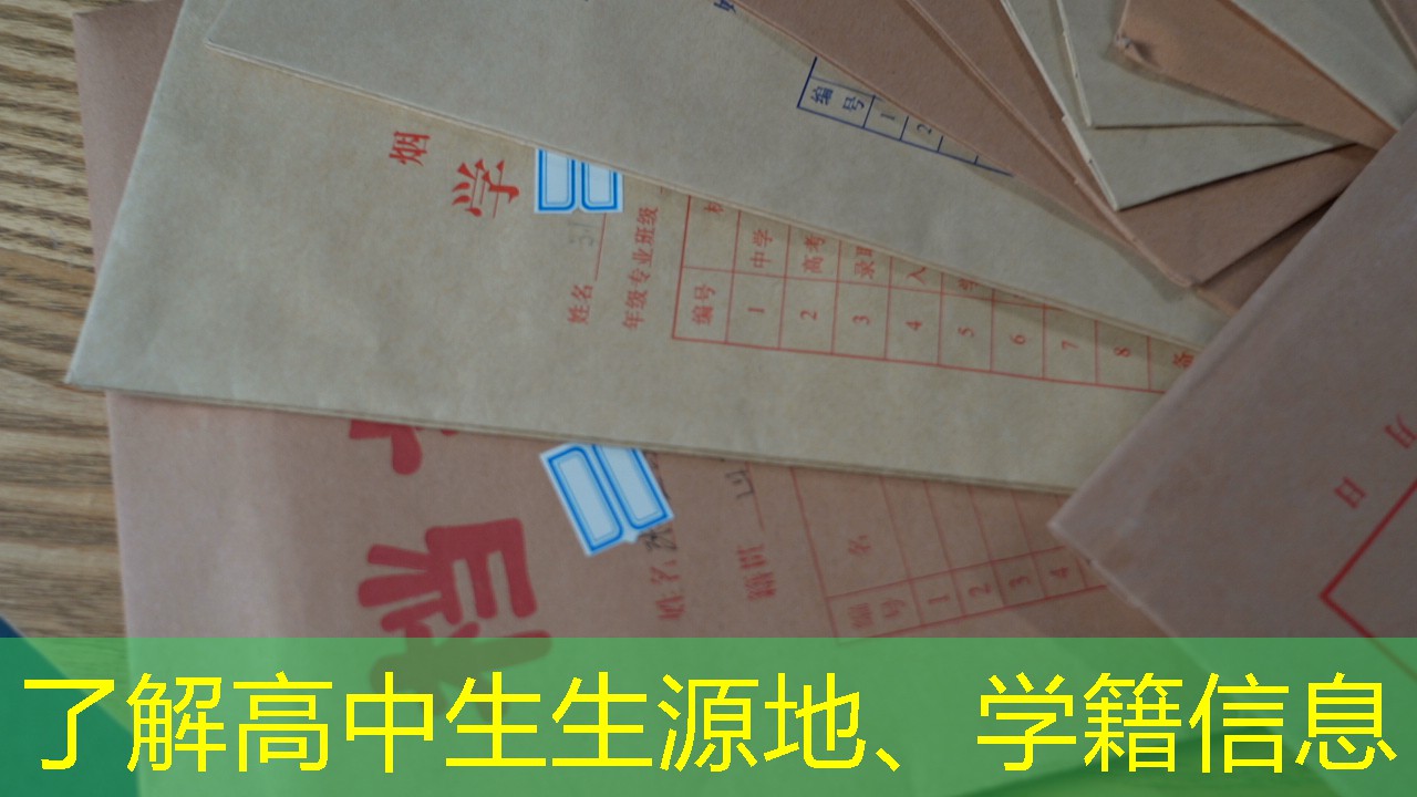 档案查询