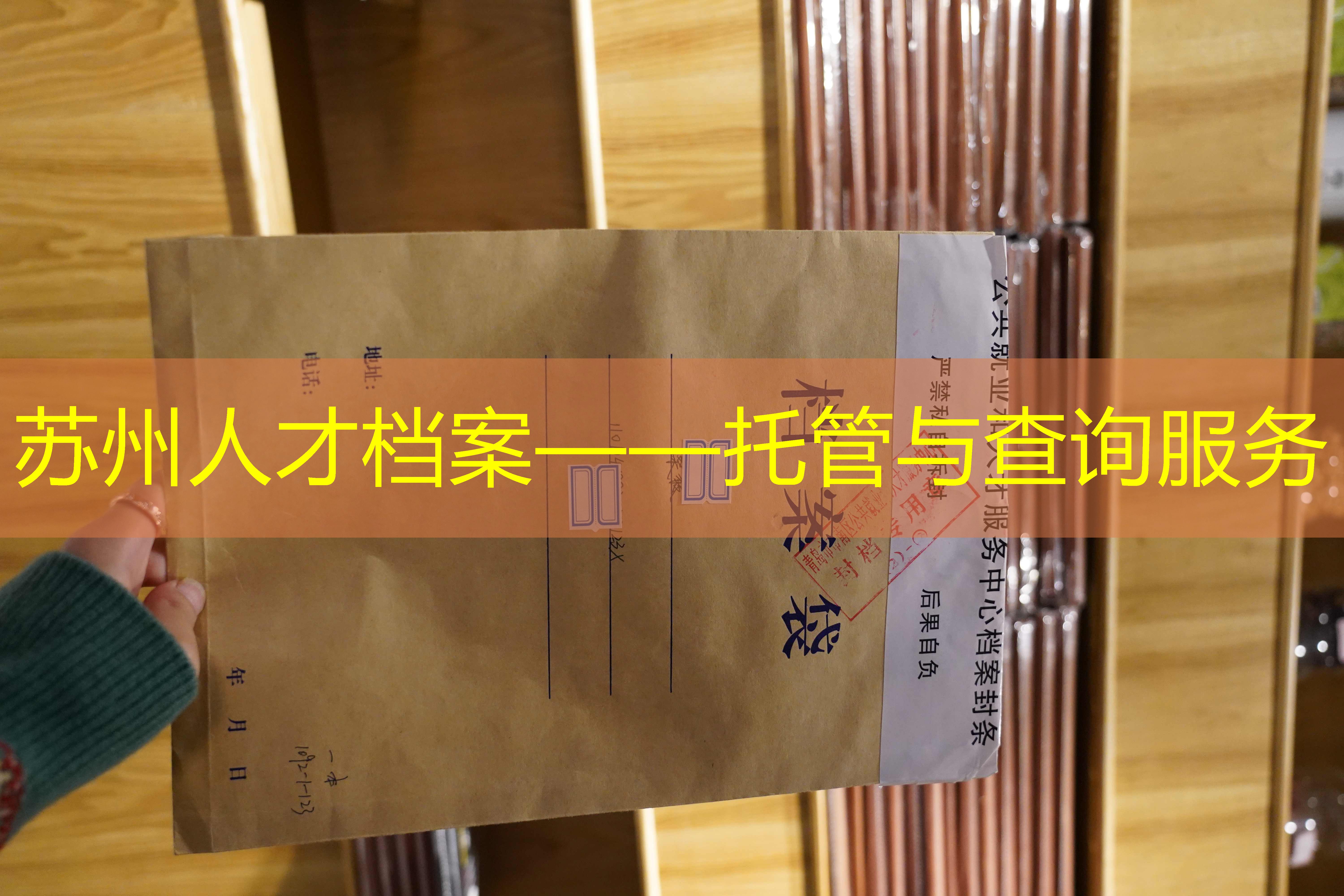 档案查询