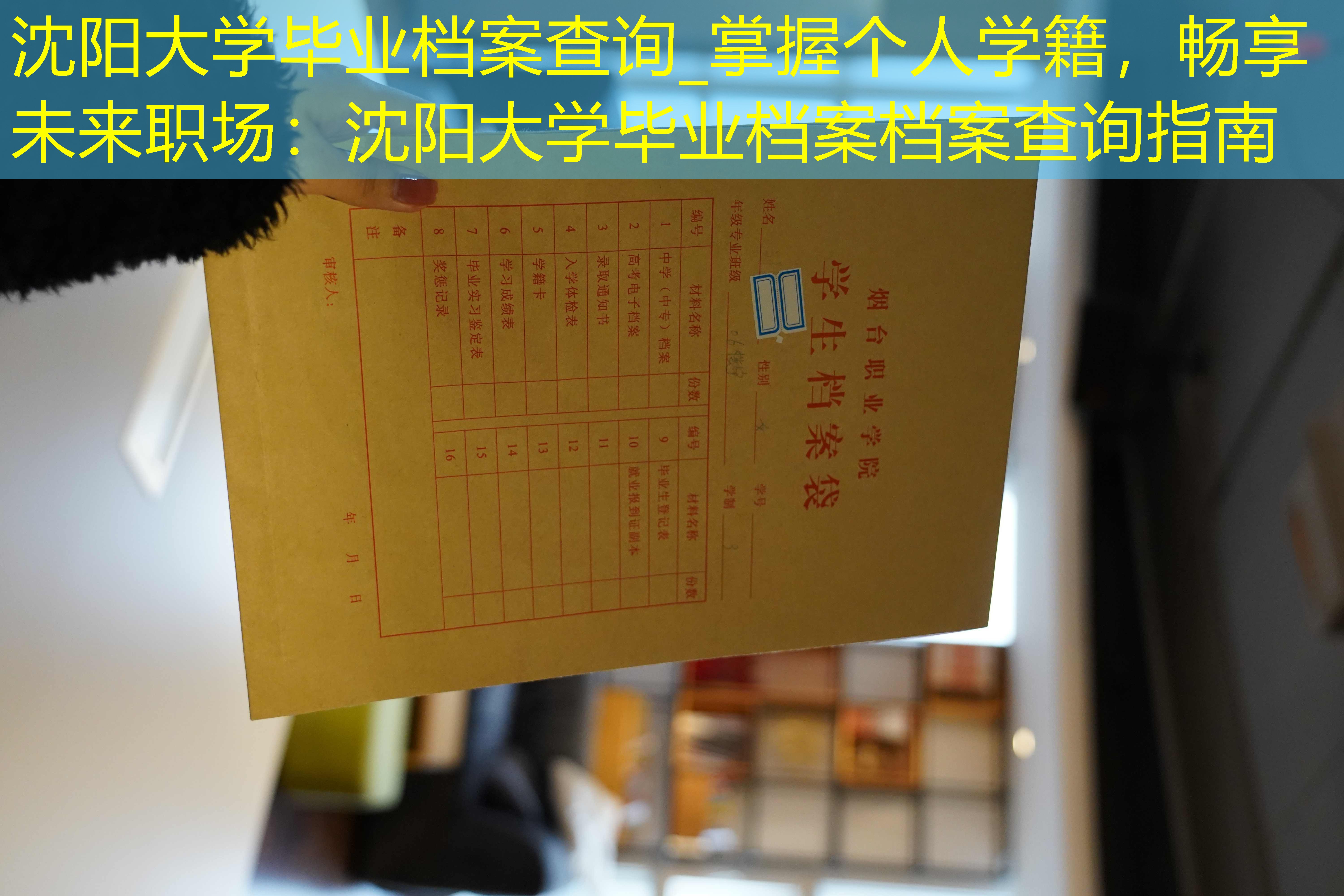 档案查询