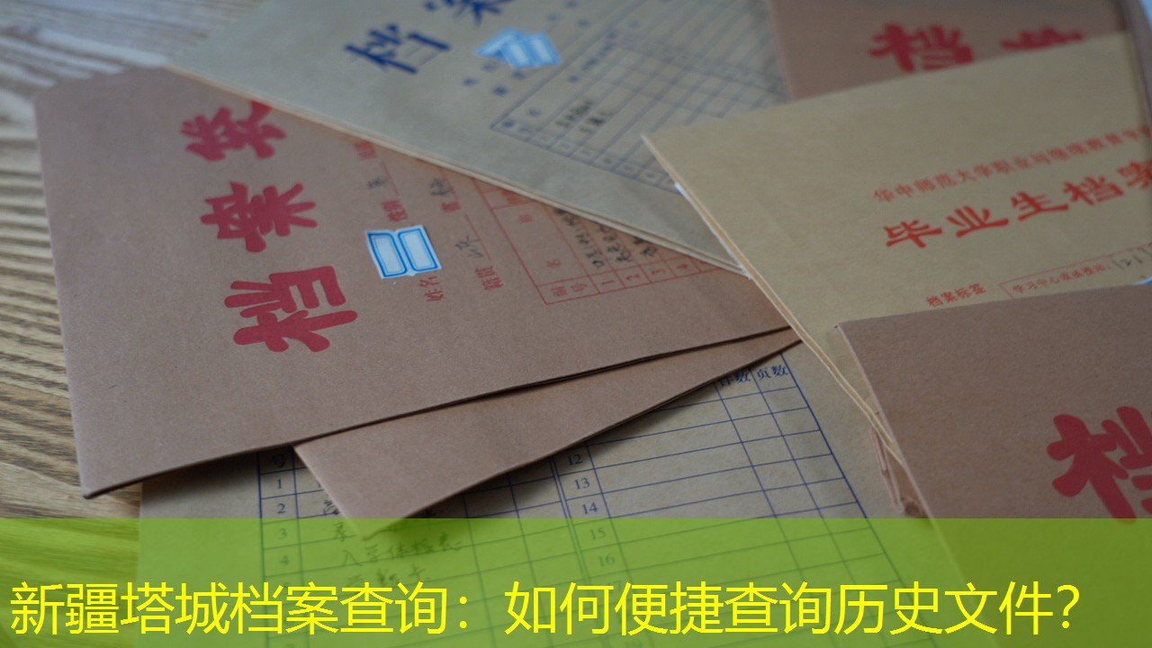 档案查询