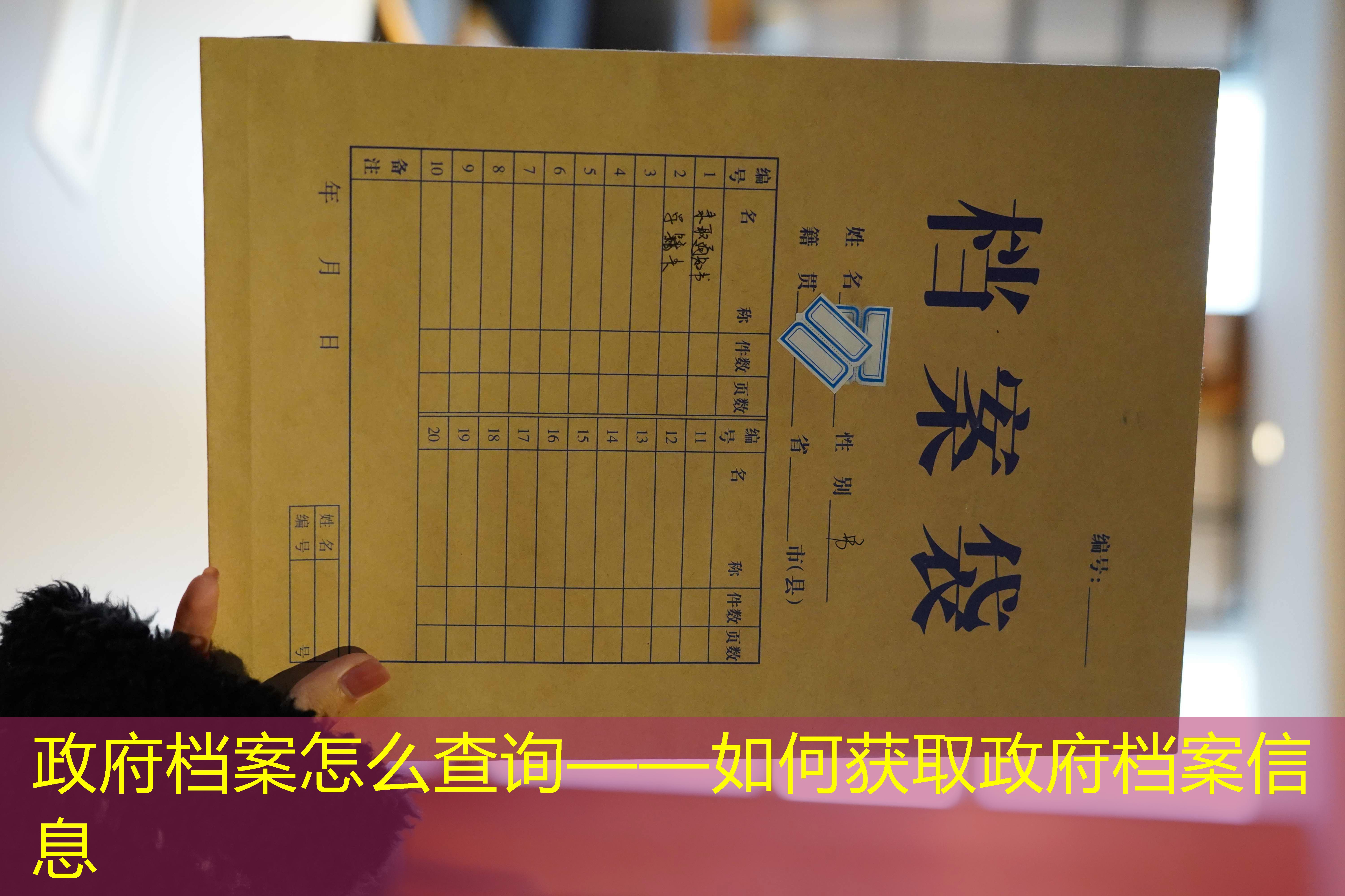 档案查询