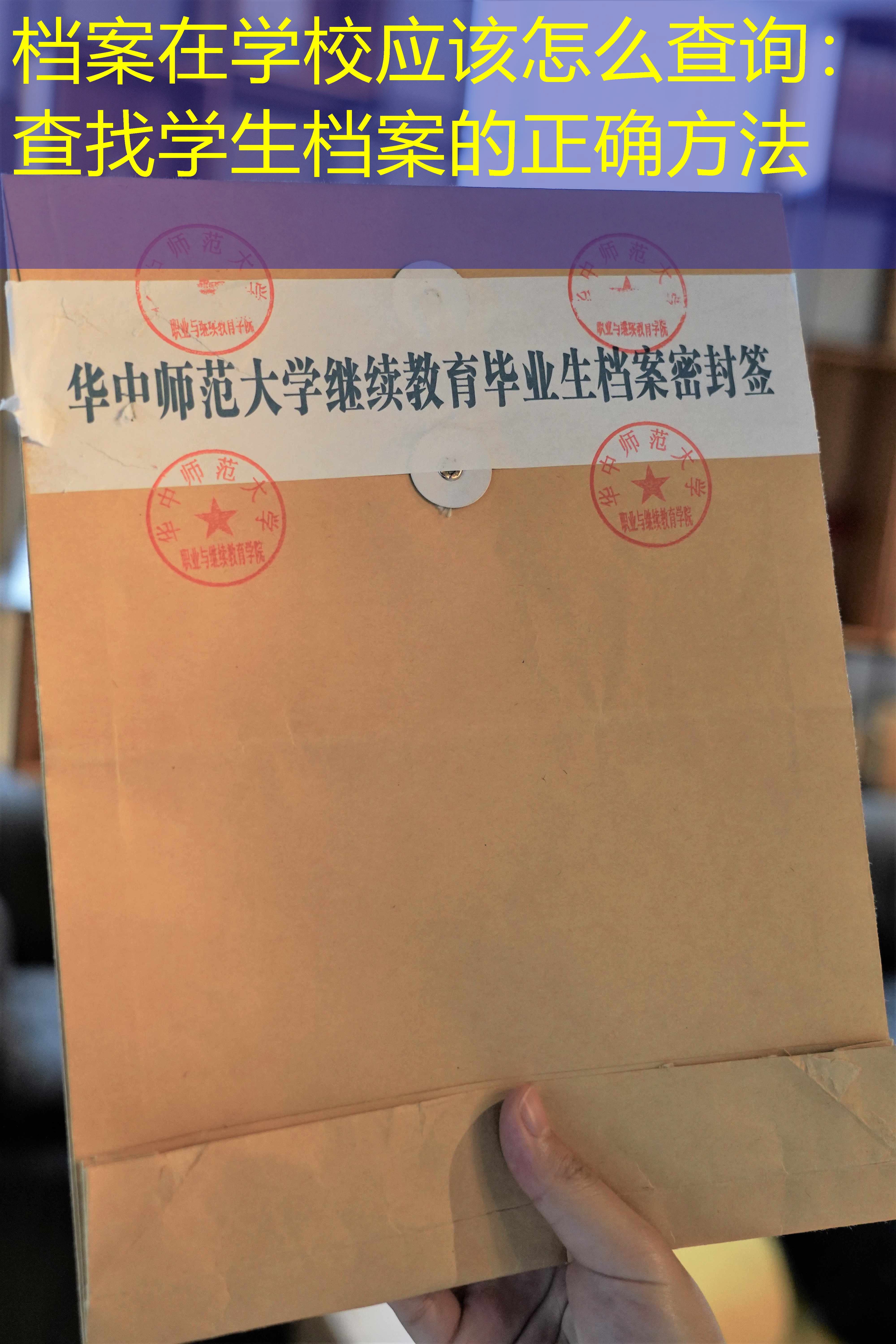 档案查询