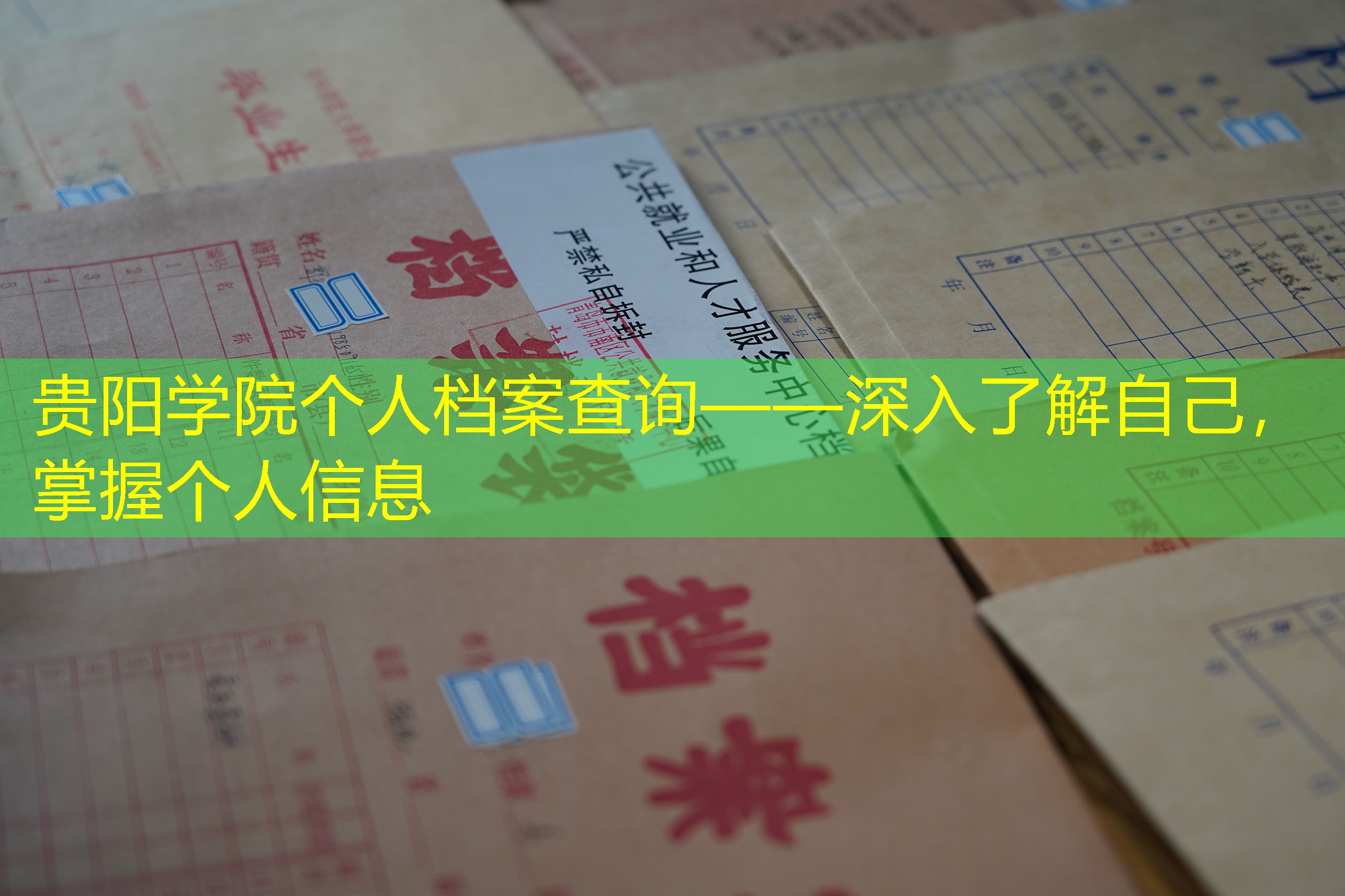 档案查询