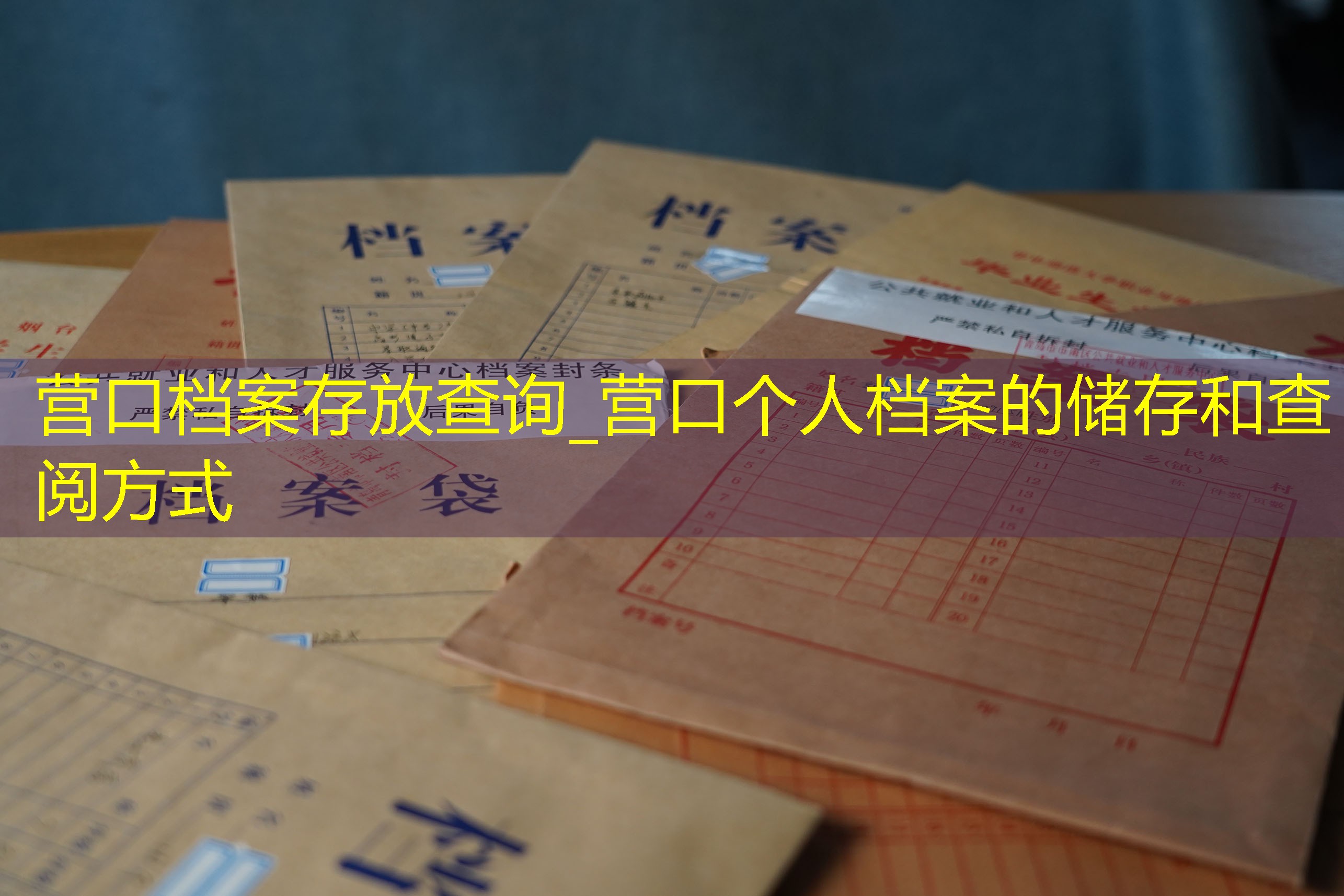 档案查询