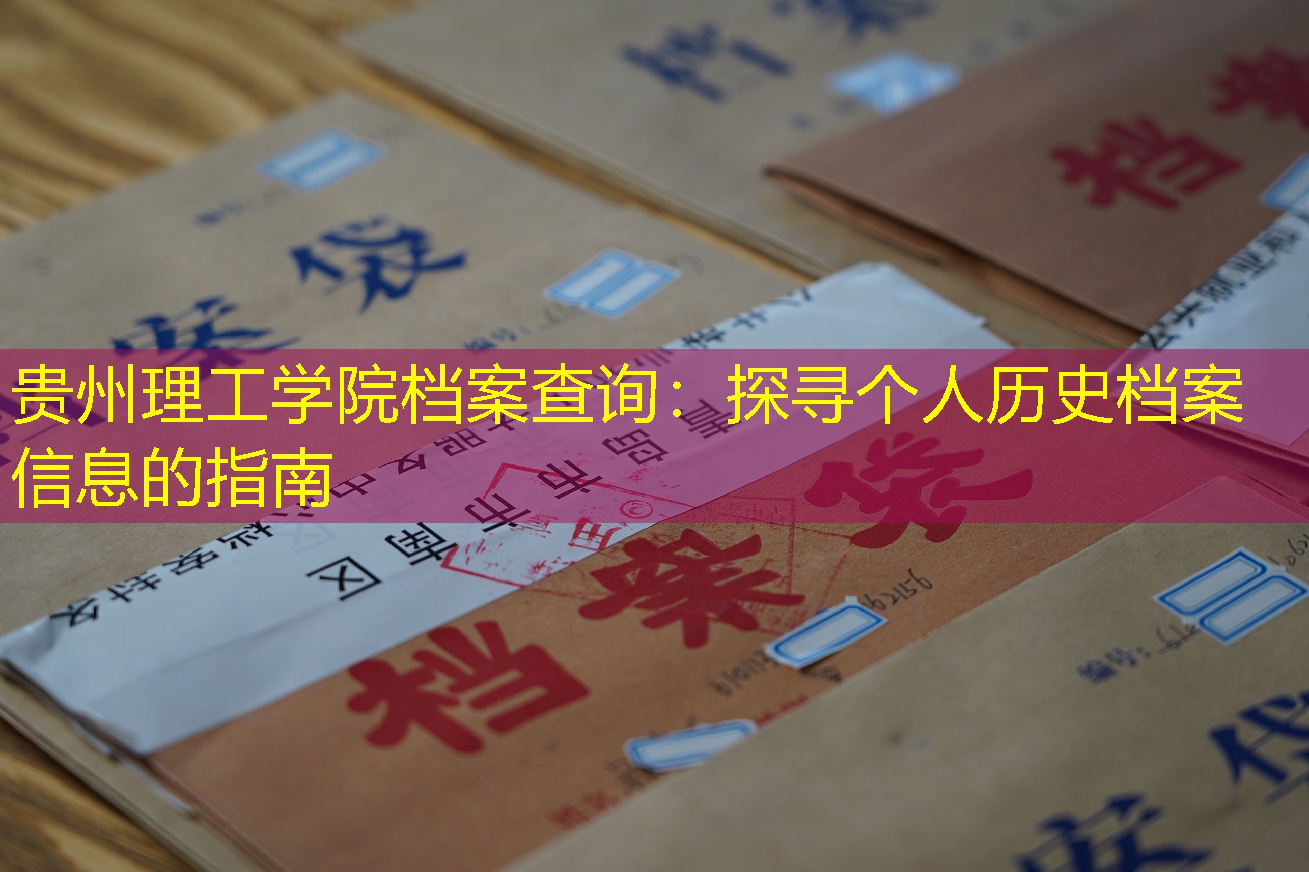 档案查询