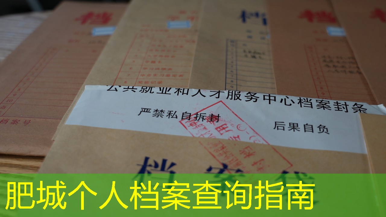 档案查询