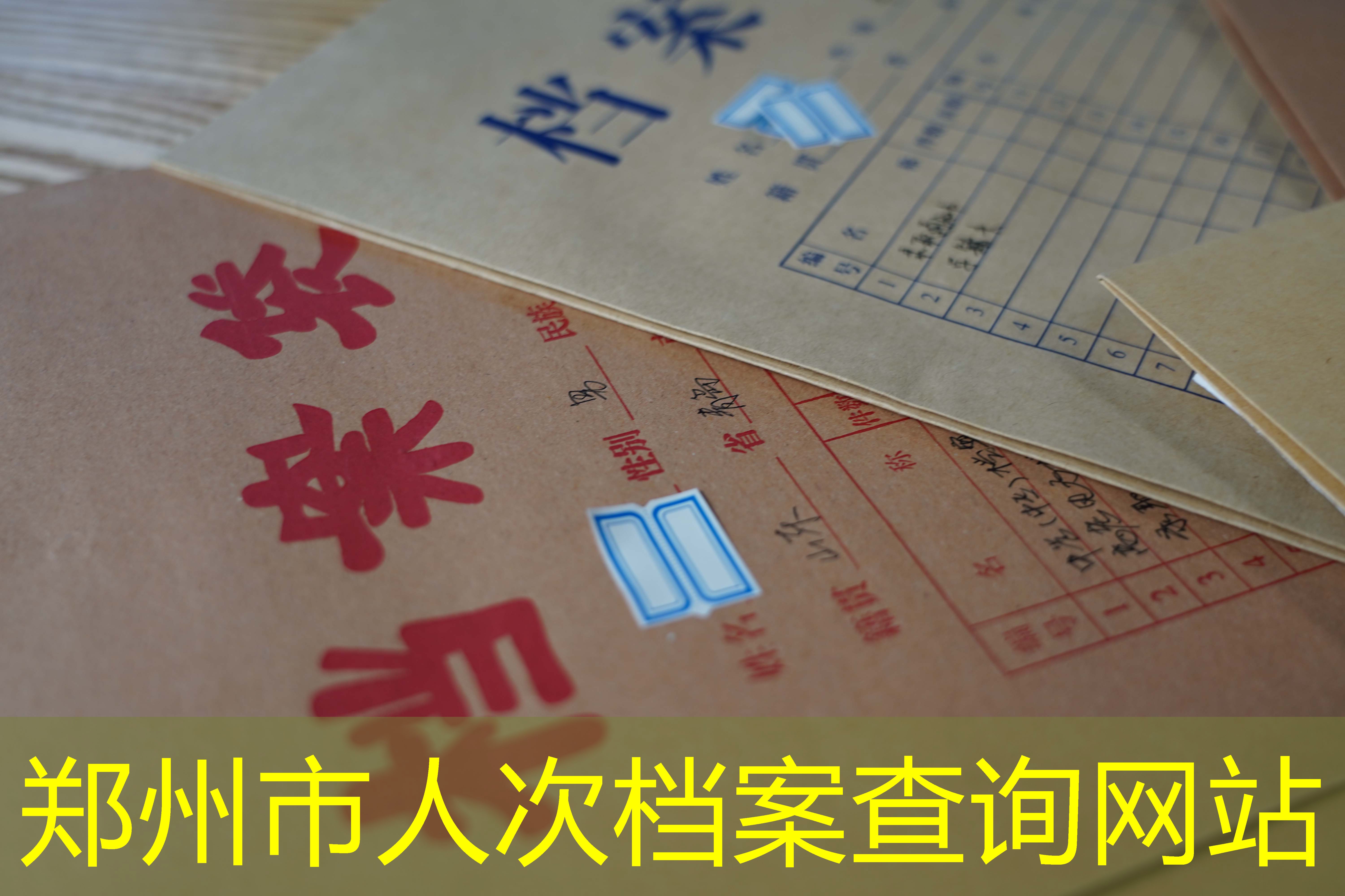 档案查询