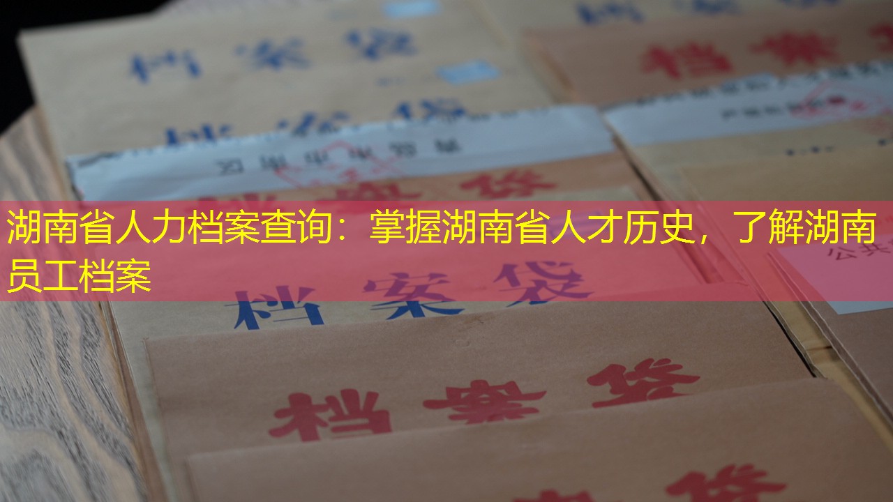 档案查询