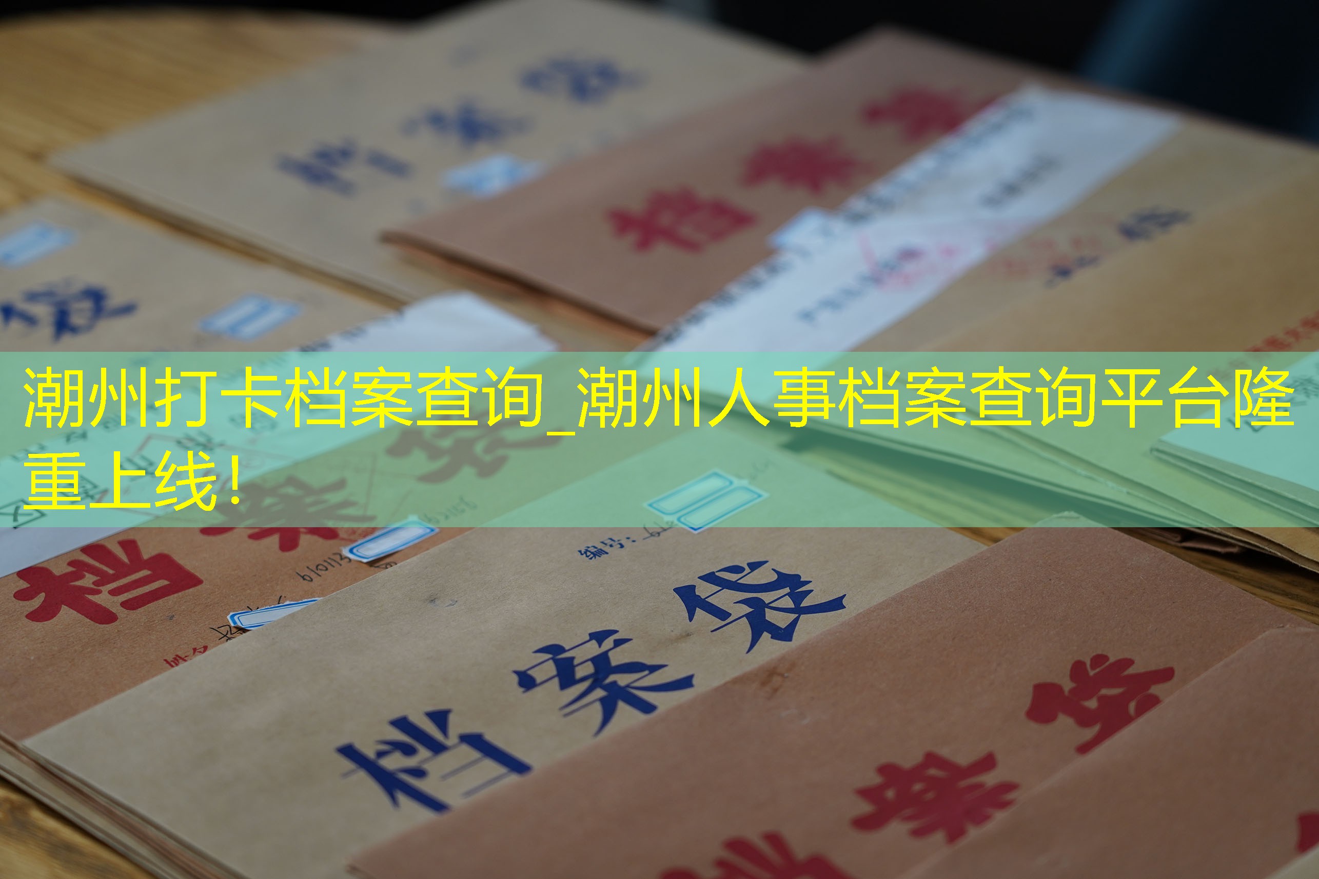 档案查询