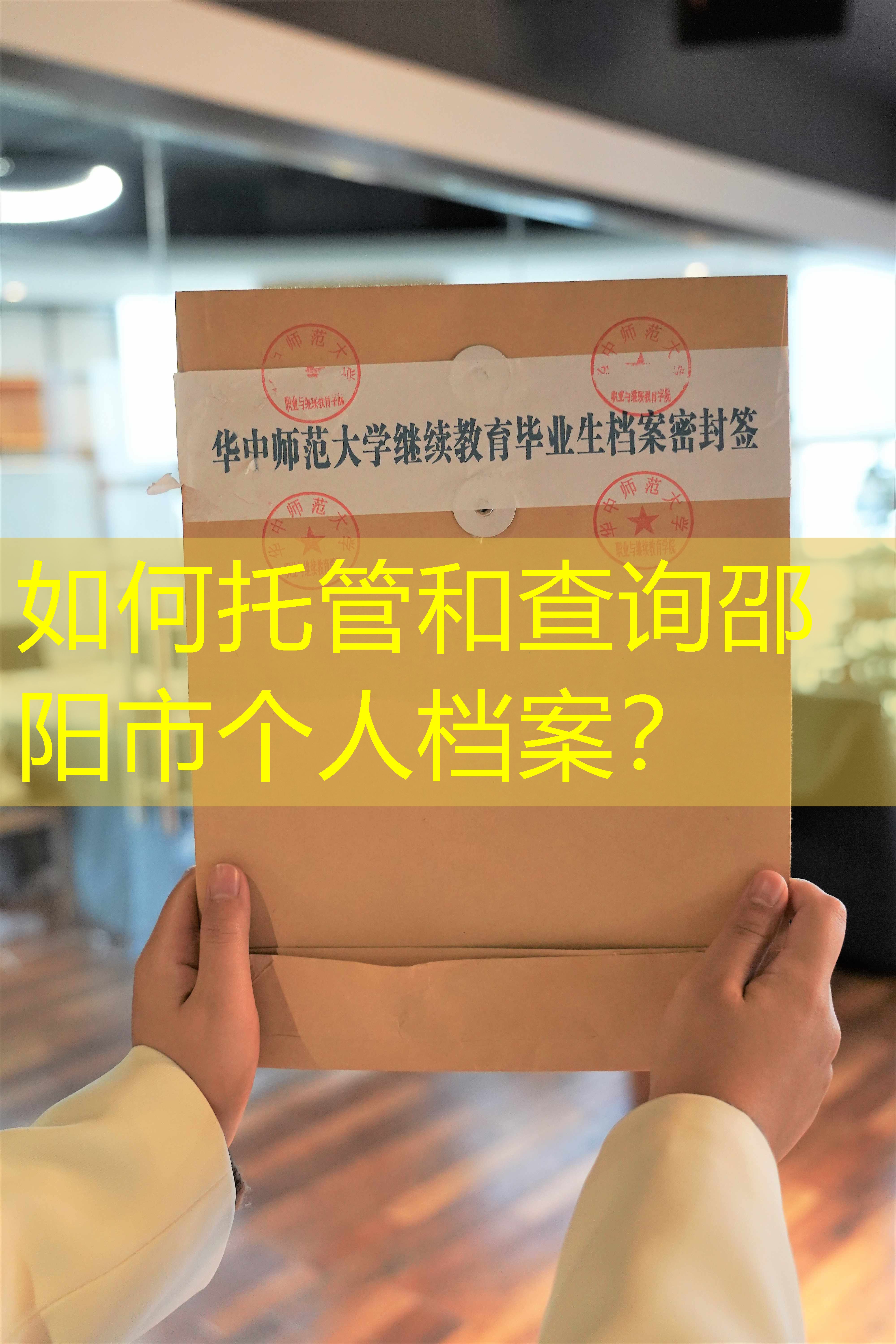 档案查询