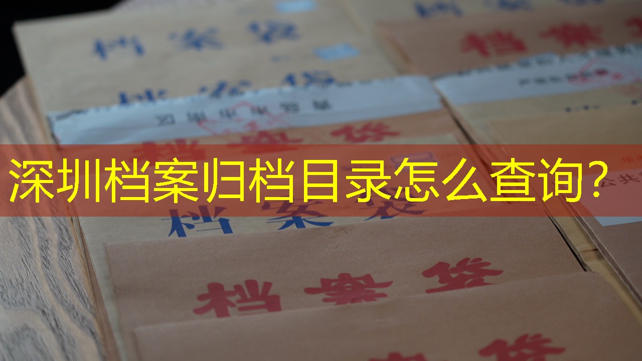 档案查询